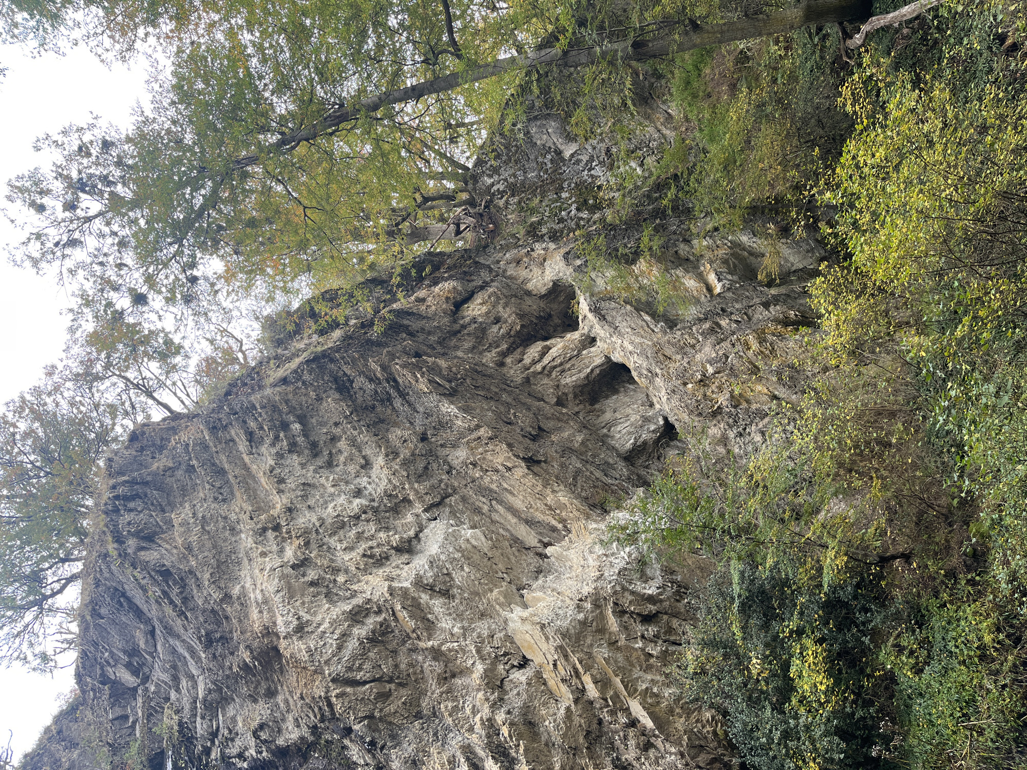 A large, gray rock formation dominates the scene, partially covered in trees and vegetation. The rock face appears to be a cliff, with layers of stratification and crevices visible. The sky is pale and overcast. The image is taken from a low angle, looking up at the rock formation. Puerto Almanza, Argentina, is not explicitly evident from the image.