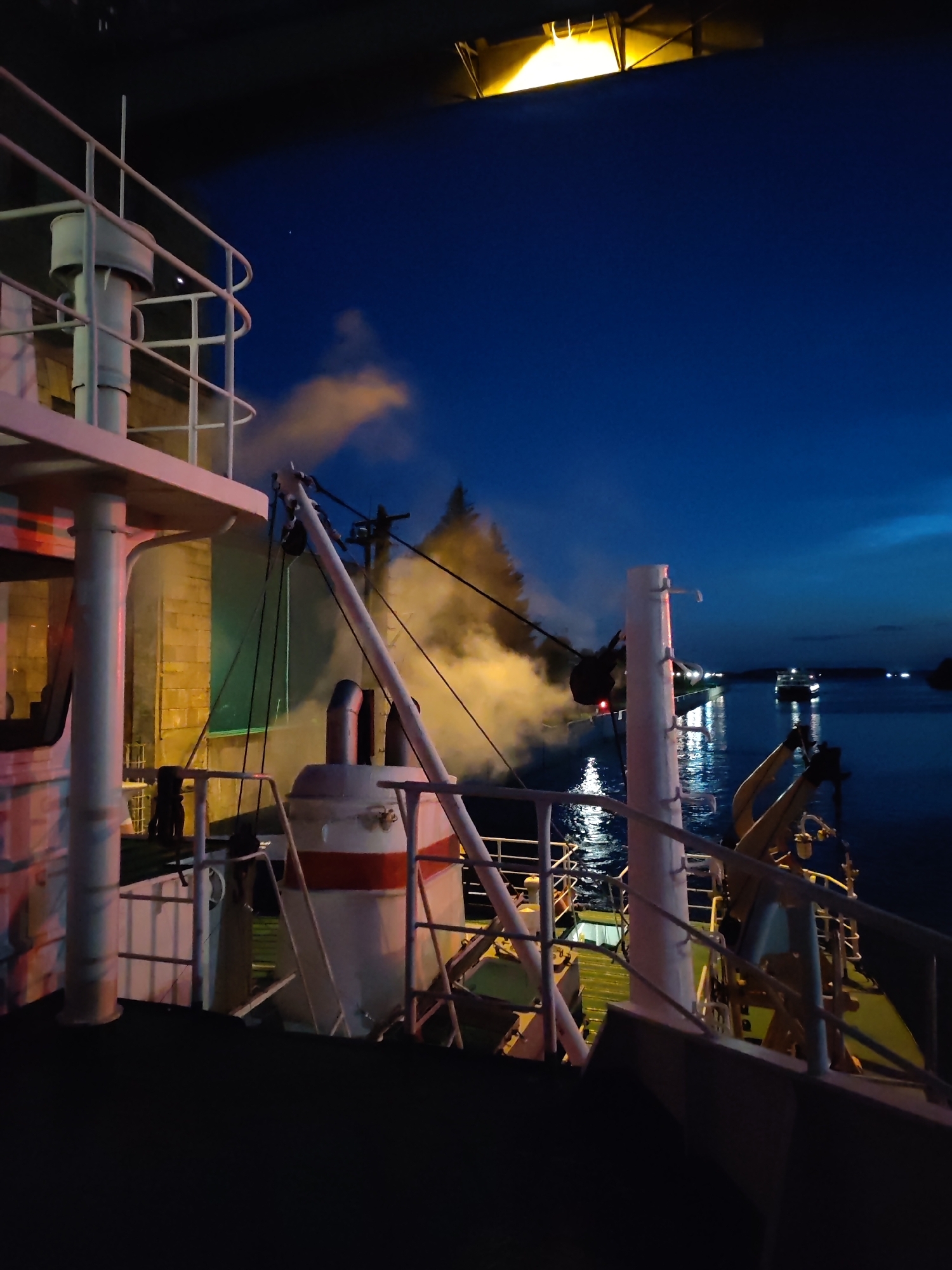 The image shows a view from the deck of a ship at night. The sky is dark blue, with some clouds visible. There is a bright yellow light fixture in the upper part of the image, which appears to be part of the ship's structure. A thick plume of white steam or smoke is rising from the ship, obscuring a tree in the background. In the distance, other ships are visible on the water, with their lights reflecting on the surface. The water appears calm. The foreground of the image is dominated by the deck and railings of the ship, with various mechanical elements visible. The location is stated to be Bol'shie Mkhi, Russia. The scene is still and devoid of human presence.
