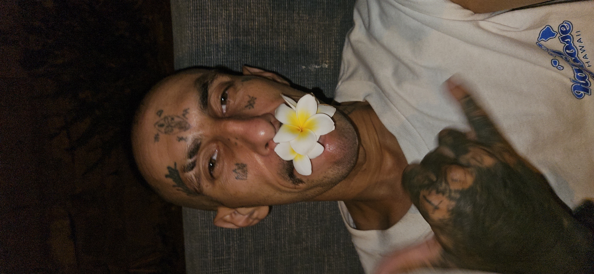 A person is captured in a close-up, rotated portrait, lying on a dark, textured surface, possibly a couch or bed. The individual has a shaved head with extensive dark tattoos on their face, including geometric or tribal patterns on the forehead and cheekbones, and a design resembling a frog or toad on the upper forehead. A white plumeria flower with a yellow center is playfully placed in their mustache, resting against their nose. They have dark eyes and a subtle smile or smirk, suggesting a relaxed and playful mood.
The person is wearing a white t-shirt. Visible blue text on the shirt includes the word "HAWAII" and an outline of the Hawaiian islands, with additional text that appears to be "Honolulu" or a similar Hawaiian place name. A heavily tattooed hand, covered in dark, intricate designs, is partially visible and raised, making a blurry gesture. The lighting is dim, indicating an indoor setting, possibly during the evening or night. The overall atmosphere is casual and lighthearted.