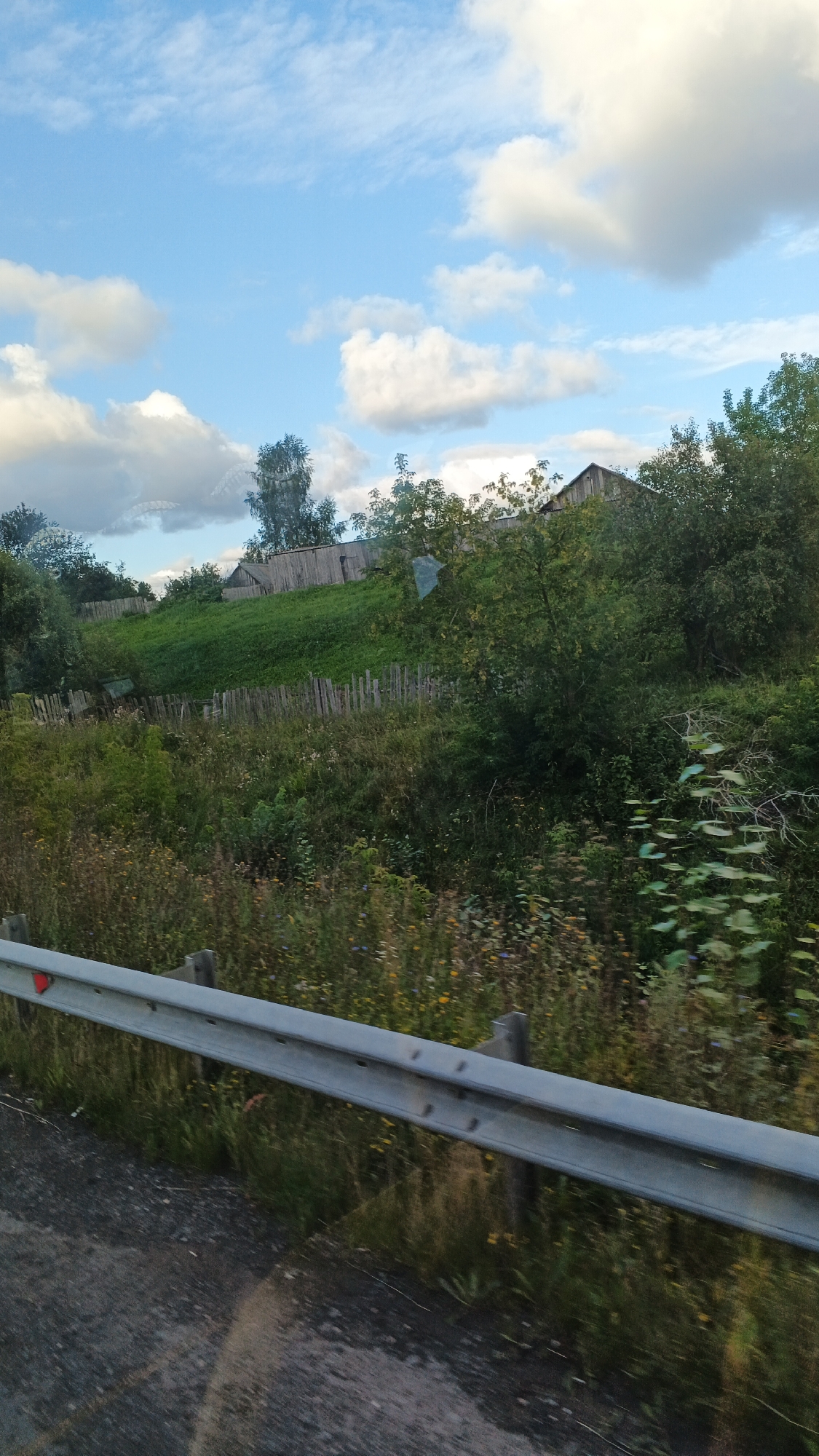 The image depicts a rural landscape under a partly cloudy sky. In the foreground, a grey metal guardrail runs horizontally across the bottom of the frame, with a patch of dark asphalt to its left. Behind the guardrail, a dense area of green vegetation, including tall grasses and wildflowers, stretches upwards. A weathered wooden fence is visible amidst the greenery, marking a boundary on a gentle slope. Further up the slope, several rustic wooden structures, possibly houses or outbuildings, are partially obscured by trees. The overall scene suggests a view from a roadside in a village setting, likely in the countryside of Buranovo, Russia, given its rural characteristics. There are no people or animals visible in the image.