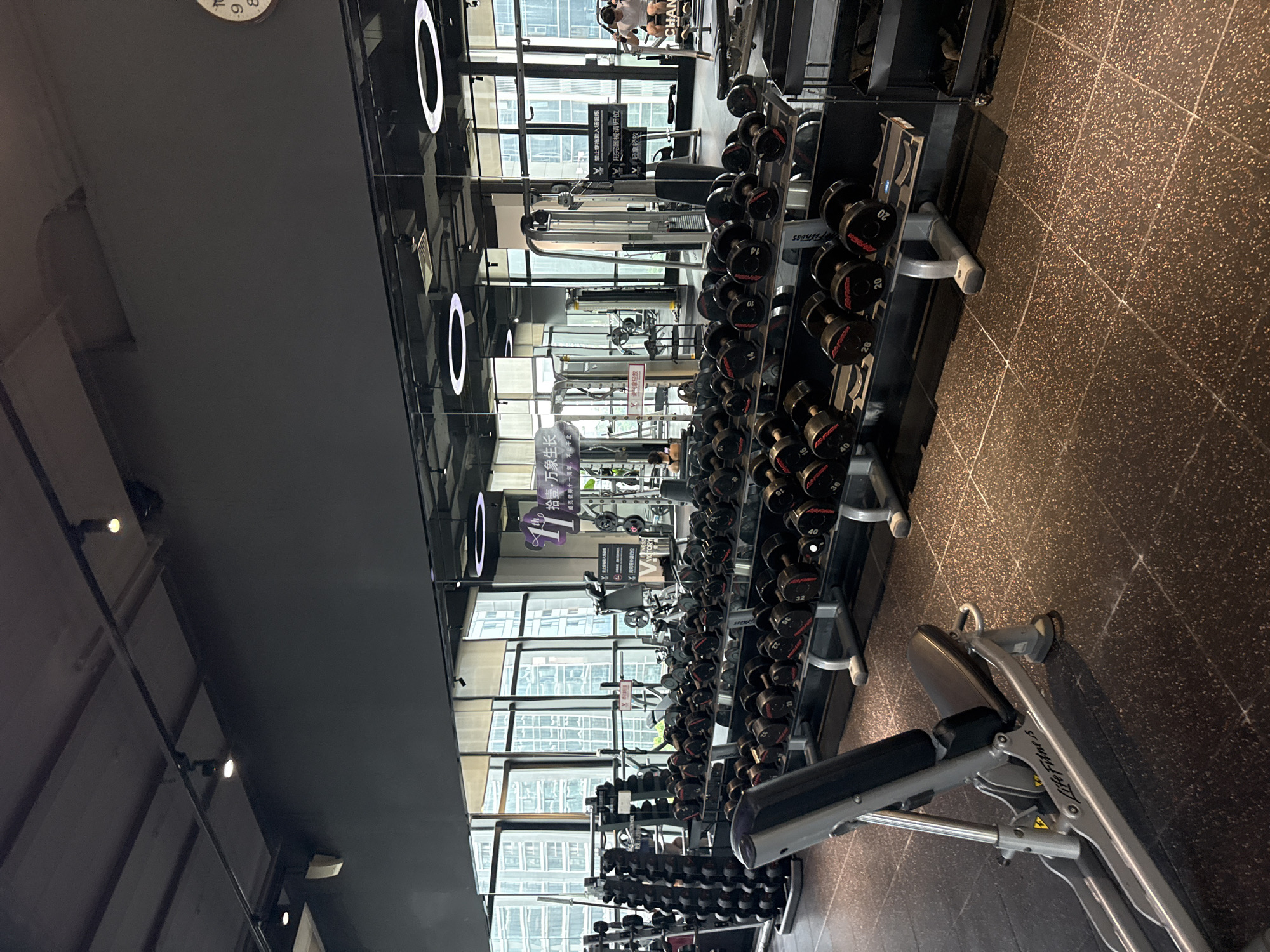The image depicts a well-equipped indoor gym located in Haizhu District, China, as indicated by the Chinese text visible on signage. The foreground features a weight bench with the "Life Fitness" logo, and to the right, a rack of dumbbells ranging from 20 to 40 pounds. Beyond this, rows of dumbbells are neatly arranged on shelves, with varying weights clearly marked. The background reveals a spacious gym environment with large windows offering a view of the urban landscape. Several pieces of exercise equipment, including weight machines and racks, are visible, along with mirrors reflecting the entire gym. Two individuals are present: one is seated on a weight bench in the right background, performing an exercise, and another is partially visible in the left background, also engaged in a workout. The gym floor is a dark, speckled rubber material, and the ceiling is industrial in design with track lighting. Circular decorative lights are also suspended from the ceiling.