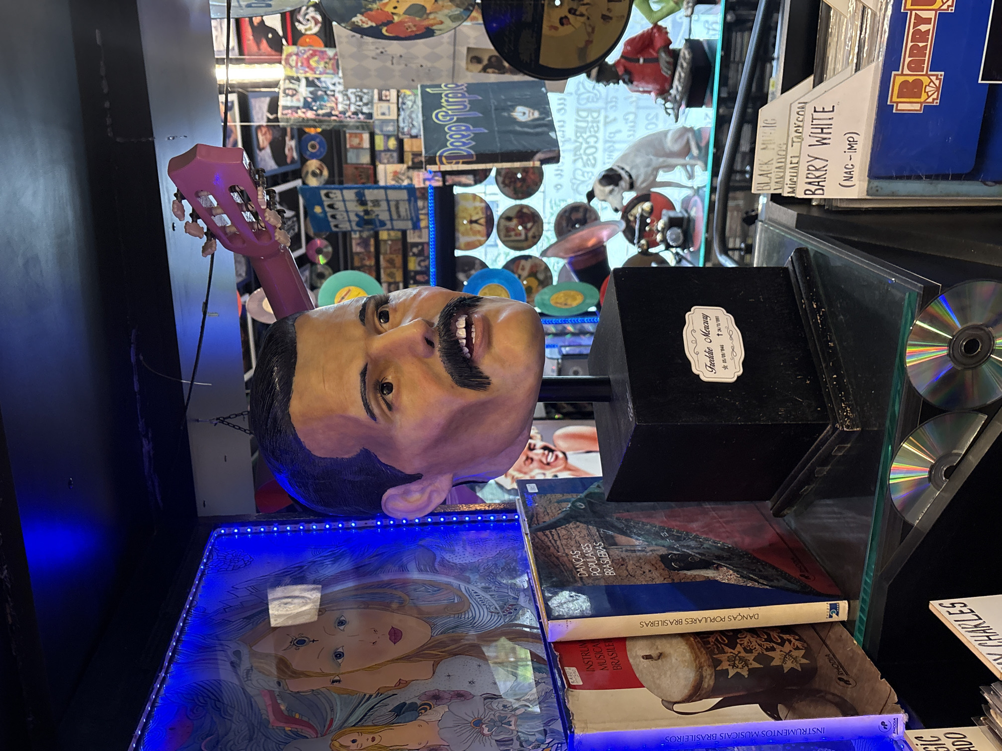 This image depicts a display within a record store in São Paulo, Brazil, likely located in the central area or a neighborhood known for its vintage shops like Pinheiros or Vila Madalena. The focal point is a bust of Freddie Mercury, placed on a black pedestal. The bust is detailed, featuring realistic skin tone, black hair styled back, a prominent mustache, and slightly open mouth revealing teeth. The pedestal has a label that reads "Freddie Mercury" with his birth and death dates.
Behind the bust, the environment is rich with music memorabilia. To the left, a framed artwork with stylized female figures and blue lighting is visible, with the spine of a record labeled "INSTRUMENTOS MUSICAIS BRASILEIROS" and another labeled "DANCAS POPULARES BRASILEIRAS" to its right. The background is densely packed with vinyl records, CD cases, and various decorative items. A pink guitar neck extends from the upper right corner of the frame.
Several other album covers are visible, including one with "Deep Purple" prominently displayed in purple lettering. Among the decorative elements are figurines, including a white dog figurine, and what appears to be a miniature musician figurine with a keyboard. The shelves are filled with records, and some CDs are scattered on surfaces. The overall impression is that of a collector's shop or a music-themed establishment.