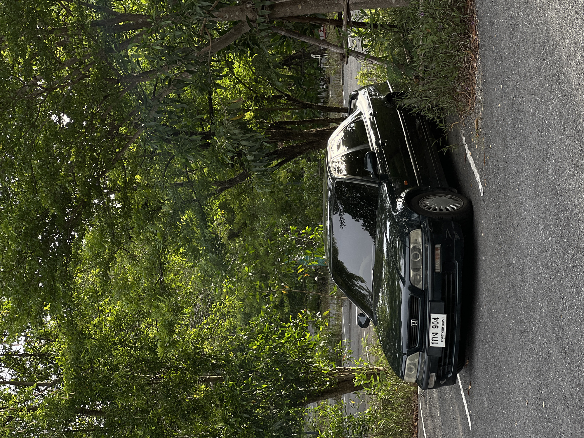 A dark green sedan is parked in a lot surrounded by trees. The car is facing left, with its front end visible. The license plate reads "1กจ 904". The car is parked between two white lines on an asphalt surface. The trees are lush and green, with sunlight filtering through the leaves. The ground around the car is covered in gravel and small plants. The overall scene suggests a quiet, natural setting within an urban environment.