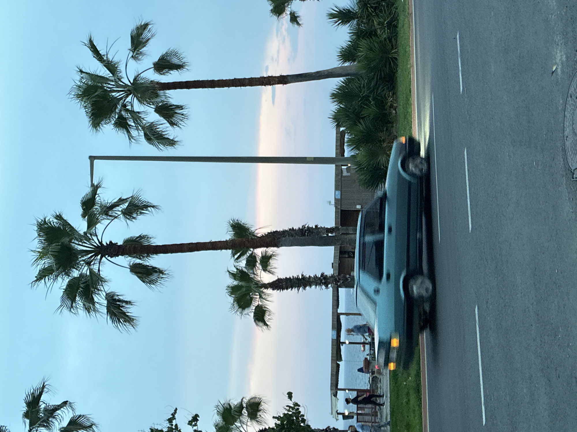The image depicts a coastal scene in Alanya, Turkey, likely during twilight. A teal sedan is in motion on a paved road, with its headlights illuminated. The road has white lane markings. To the left of the road is a grassy verge with some people walking. Behind the verge, a wooden structure with a thatched roof is visible, situated near the sea. Several palm trees of varying heights are scattered throughout the scene, with one tall palm tree dominating the right side of the frame. The sky is a pale blue with hints of pink and orange near the horizon, suggesting the setting or rising sun. The overall impression is a tranquil, open-air environment.