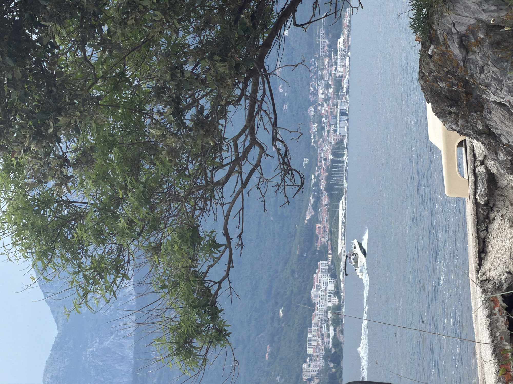 The image depicts a view from an elevated position, possibly a cliffside in Gošići, Montenegro, overlooking the Adriatic Sea. A tree with green leaves occupies the left side of the frame, partially obscuring the view. In the distance, a town or city is visible, with buildings clustered along the coastline and extending into the hills. In the water, a speedboat is traveling, leaving a white wake behind it. A rocky cliff with some vegetation is seen on the right side of the frame, along with a partially visible structure, possibly a building or a lookout point. The sky is bright, suggesting a clear day.