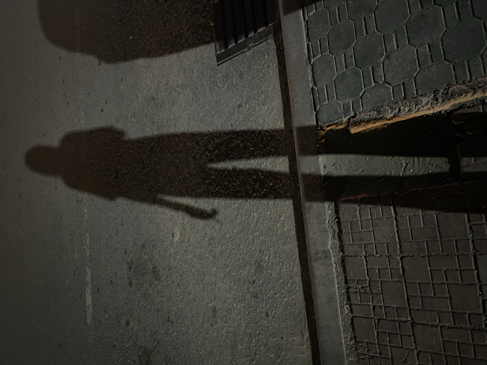 A long shadow of a person is cast across an asphalt surface. The surface transitions to patterned pavement at the right edge of the frame. A metal grate is visible near the top of the image. The lighting suggests it is nighttime. The location is not determinable from the image.
