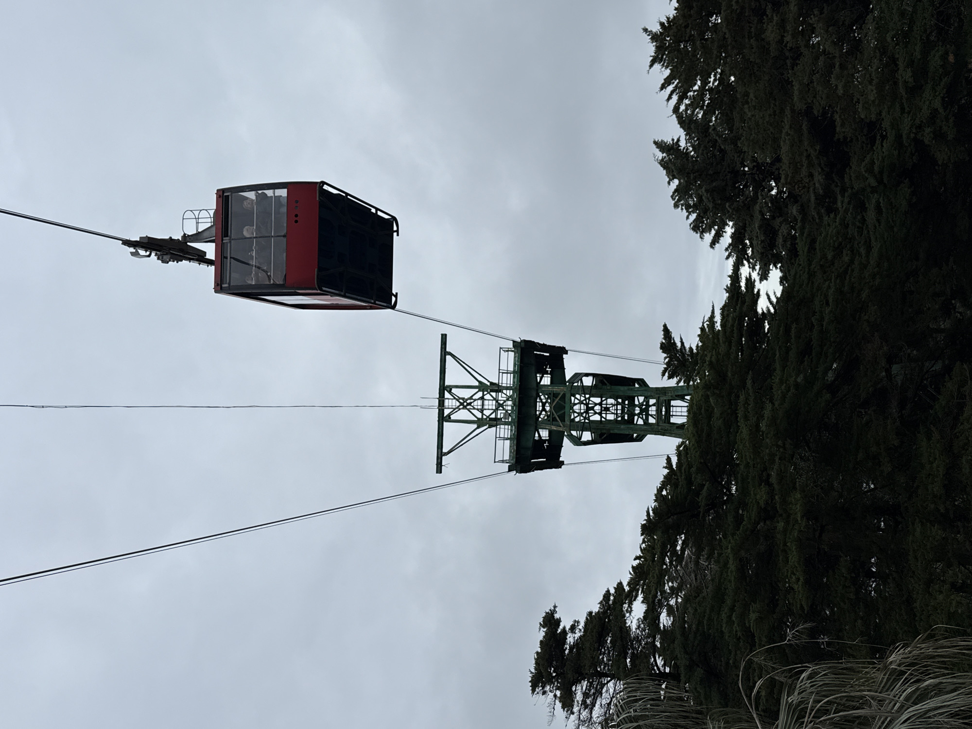 This image captures a red cable car gondola suspended by a black cable against an overcast, light gray sky. The rectangular gondola, featuring multiple windows, shows at least three blurred human figures visible inside, indicative of passengers. Below and slightly to the left of the gondola, a tall, green-painted metal lattice support tower (pylon) is partially visible, extending upwards from a dense canopy of dark green evergreen trees that dominate the lower half of the frame. The tower exhibits structural cross-bracing, platforms, and railings. To the far left, the light-colored, drooping fronds of a different plant are partially visible. The scene depicts the cable car system traversing over the Sochi Arboretum (Dendrarium) in Sochi, Russia.