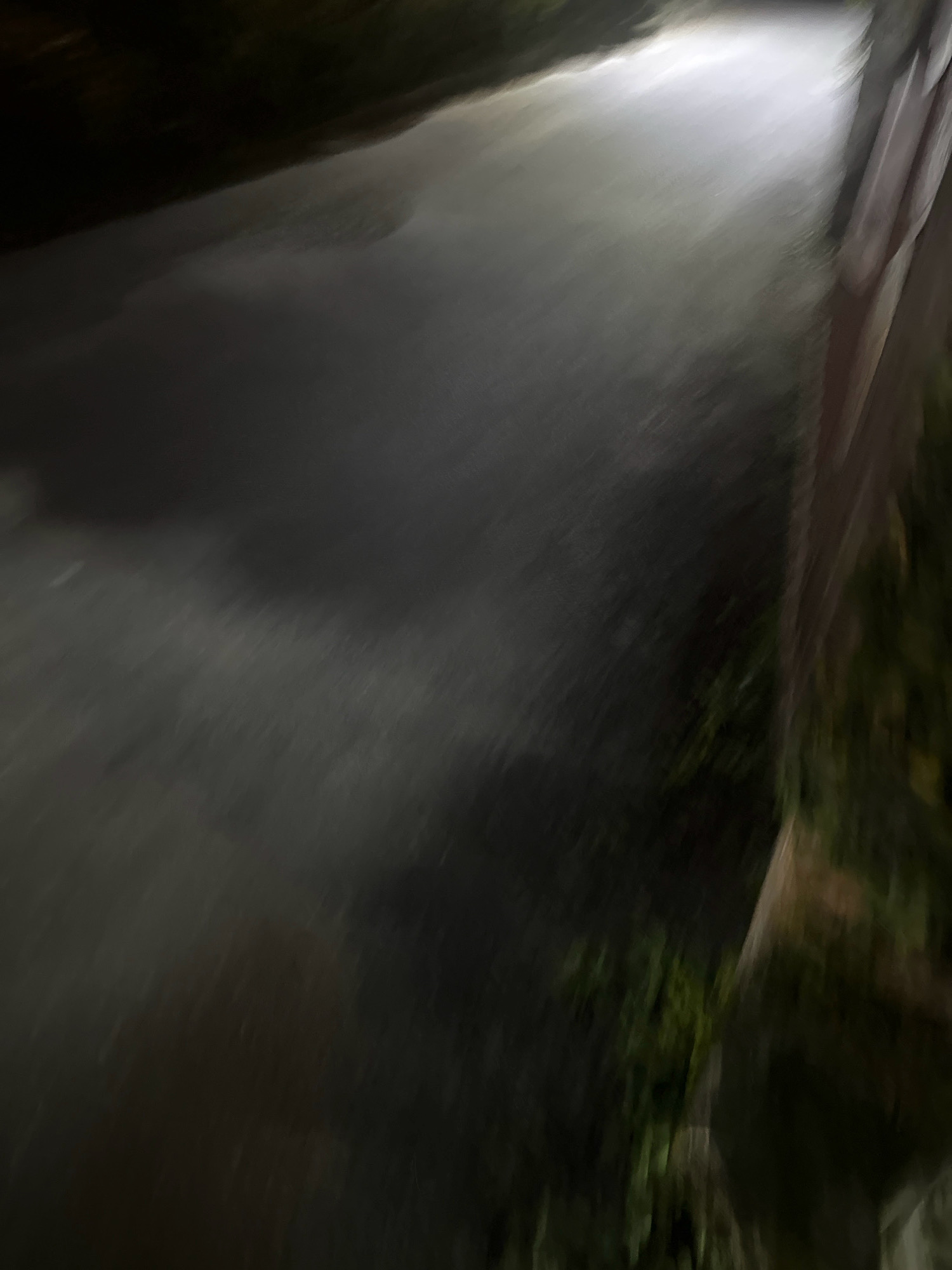 The image depicts a blurred, dark scene, possibly a street or pathway at night. A bright light source is visible in the upper right portion of the image, illuminating a patch of the ground which appears wet or reflective. To the right of the illuminated area, a dark, vertical structure, possibly a wooden pole or railing, is present. The foreground and left side of the image are predominantly dark, with faint suggestions of foliage or ground cover. The overall impression is one of low visibility and movement. The location is identified as Lalitpur, Nepal.