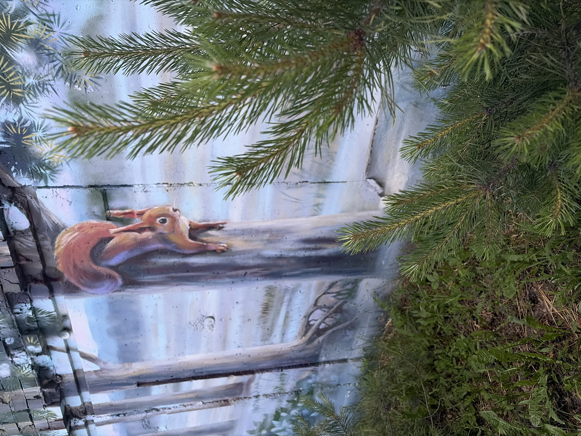 The image depicts a section of a mural on a brick wall in Chaikovsky, Russia, featuring a squirrel climbing a tree amidst a winter forest scene. The mural is painted in muted tones of blue, white, and brown, with the squirrel rendered in shades of orange and red. The foreground is occupied by the needles of a pine tree, creating a shallow depth of field and partially obscuring the mural. The ground beneath the mural is covered in green grass and fallen pine needles, suggesting an outdoor environment. The mural appears to be located on an exterior wall, possibly of a building or a fence, in a park or wooded area within the city. The overall impression is one of nature and wildlife captured in an artistic urban setting.