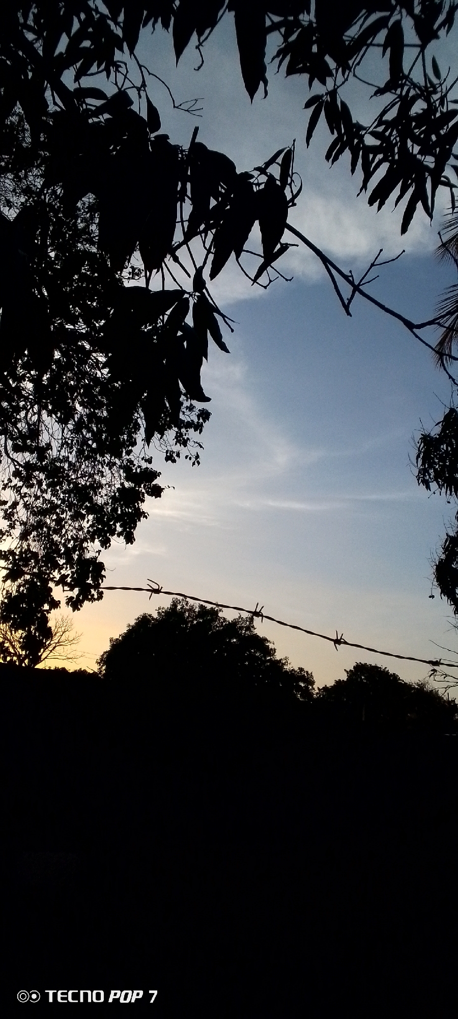 The image shows a view through silhouetted tree branches towards a sky with a blue-to-yellow gradient, suggesting either sunrise or sunset. In the middle ground, a barbed wire fence stretches across, with dark silhouettes of trees and foliage behind it. The lower portion of the image is mostly black, obscuring details. The photo was taken with a TECNO POP 7 device. The location in the city of Altagracia, Venezuela is not evident from the visual information provided. There are no people visible in the image.