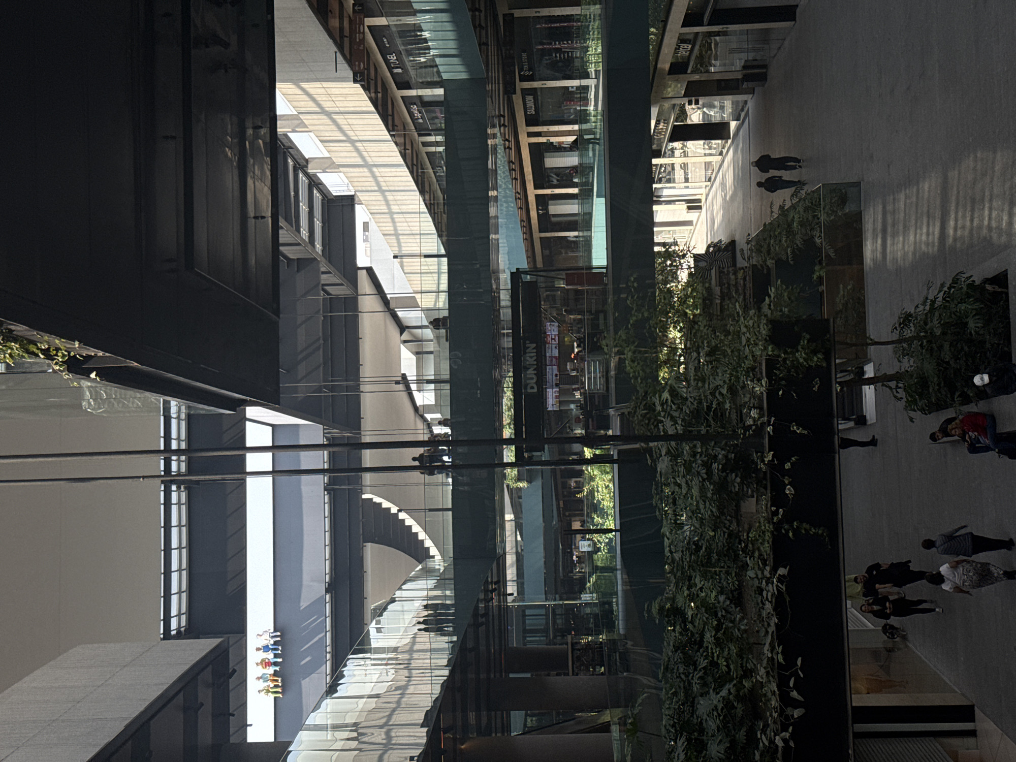 This appears to be an elevated perspective photograph taken in Mexico City, Mexico. The scene depicts an open-air shopping mall or complex, possibly a modern urban development. The photograph includes architectural features such as glass walkways, levels of retail shops, and open plaza spaces. People can be seen walking on the walkways and plaza level, indicating the space is in use. Vegetation, like trees and other plants, is part of the architectural design.
Signs for brands such as Dunkin' and Salomon are visible among others. The architectural style suggests a recently constructed or renovated area. The lighting seems to indicate daylight conditions.