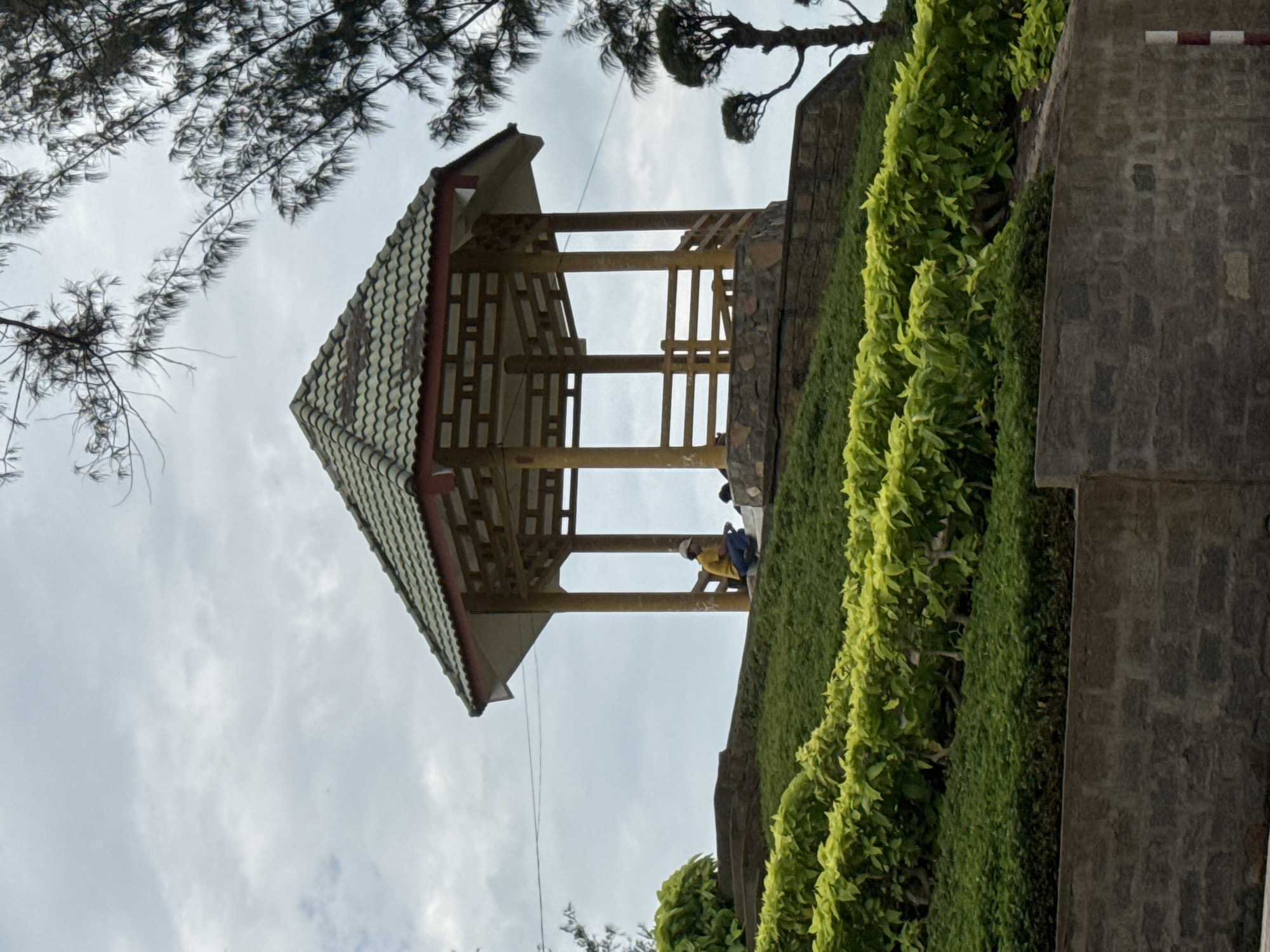 The image captures a hexagonal gazebo with a tiled roof, situated on a tiered hillside covered in lush green vegetation. The gazebo features wooden pillars and railings. In front of the gazebo, a person wearing a yellow shirt and a white cap is seated, facing to the left. Another figure is visible to the right of the seated person, partially obscured. The hillside slopes downwards, with layers of neatly trimmed plants, and is bordered by a stone wall at the bottom. The background shows a cloudy sky and the branches of trees, suggesting an outdoor location in Phan Thiết, Vietnam.