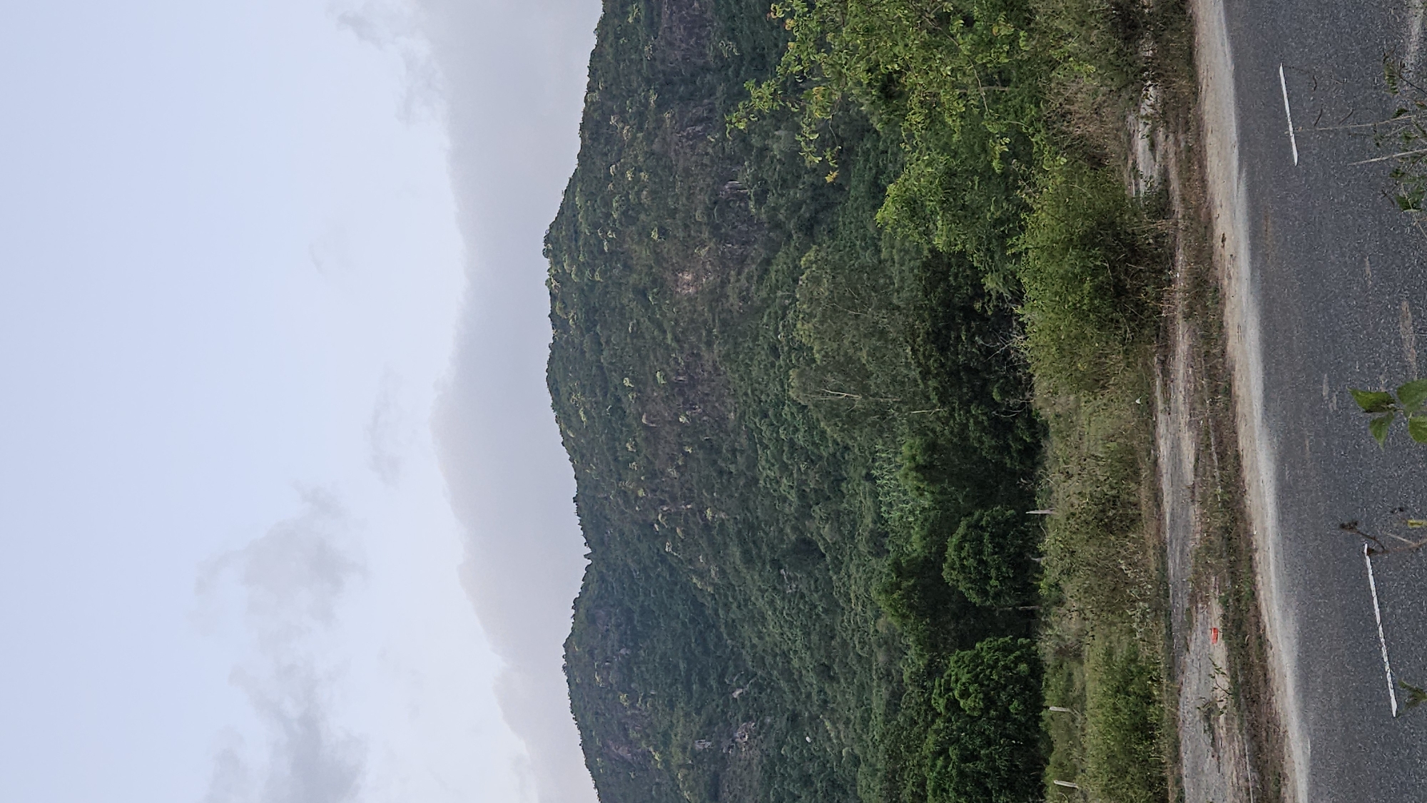 A vertical landscape view shows a lush, green mountain range alongside a paved road under a cloudy sky.
The mountain, covered in dense vegetation, dominates the left side of the image. Its rugged terrain is heavily overgrown. The sky above the mountain is overcast with grey clouds.
Adjacent to the mountain on the right is a two-lane asphalt road. The road surface is grey, with painted lines marking the lanes. The shoulder of the road is overgrown with grass and weeds.
The location is Cam Lam, Vietnam.