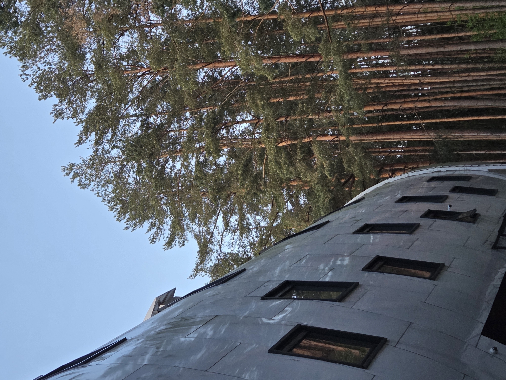 View looking up at a curved building with rectangular windows under tall trees, location in the city of Unknown, Unknown. The building appears to be constructed from metal panels. The sky is visible between the building and the trees.