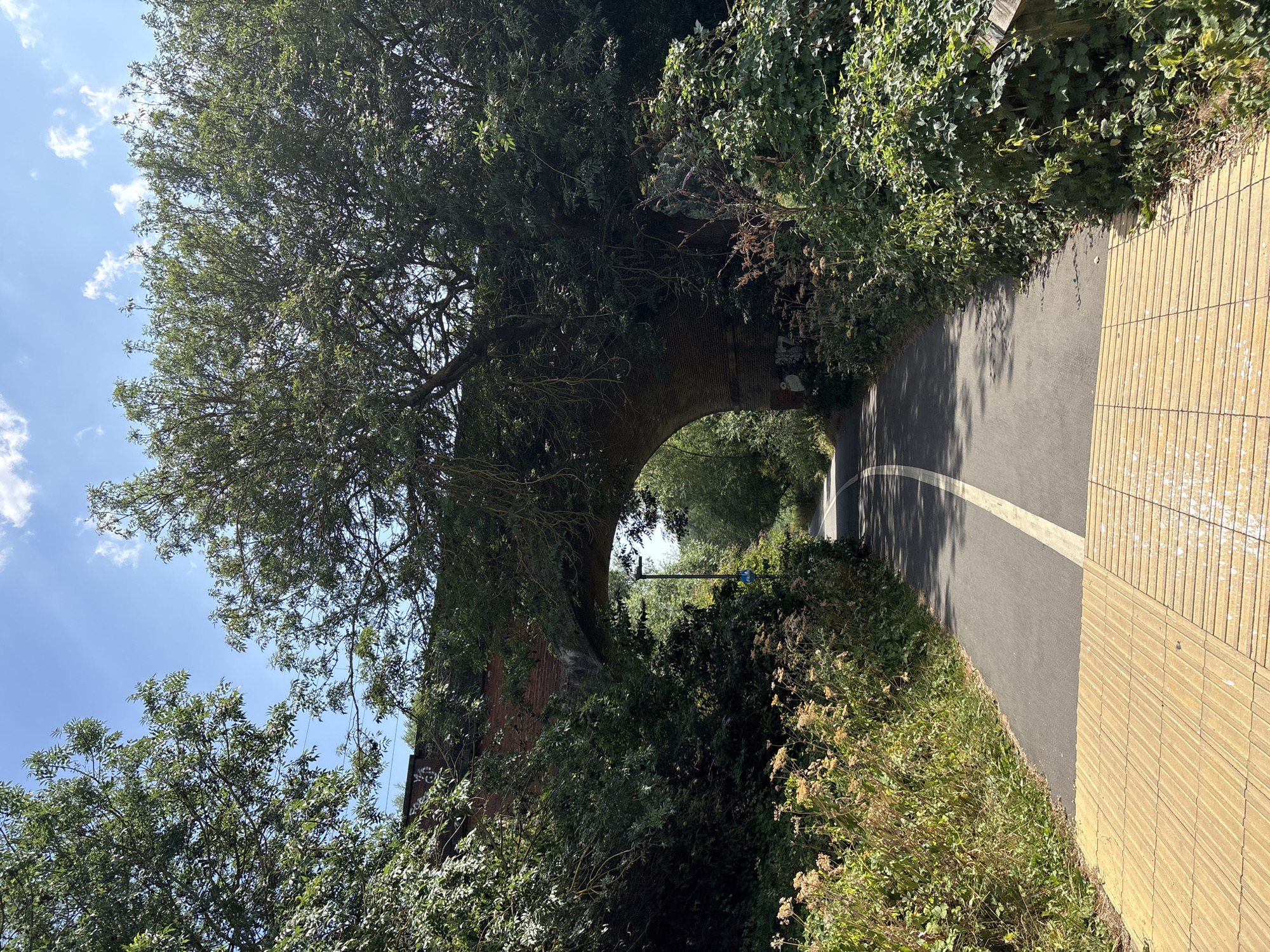 An asphalt path, bordered by yellow tactile paving in the foreground, curves through a tree-lined area under a brick railway bridge. The path is marked with a white dashed line. Lush green foliage and trees flank the path, with a wooden bench visible on the right. The sky above is blue with scattered white clouds. The scene appears to be a recreational path or cycleway in a natural setting. Based on its appearance, it is likely a path that runs under the Chelmsford railway viaduct.