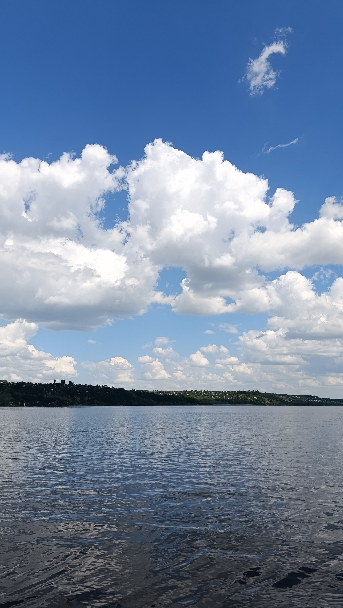 This is a vertical, eye-level, full shot of a wide river with a city skyline in the background under a bright blue sky with scattered white clouds. The river takes up the bottom half of the image, with visible ripples and reflections on its surface. The far bank is lined with lush green trees and dotted with buildings, suggesting a developed area. The sky is a vibrant blue, with large, fluffy cumulus clouds dominating the upper portion of the frame. There are no people or vehicles visible in the image. The scene appears to be a serene, natural landscape with a hint of human habitation on the horizon. This scene is likely the Volga River in Saratov, Russia, looking towards the city's riverfront.