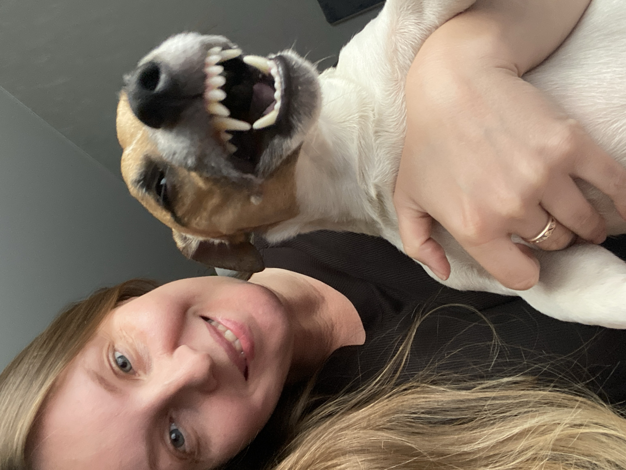 A woman with blonde hair and blue eyes is holding a small, brown and white dog. The dog is showing its teeth. The woman is smiling. The background is a gray wall. The image appears to be a selfie. The location is not discernible from the image.