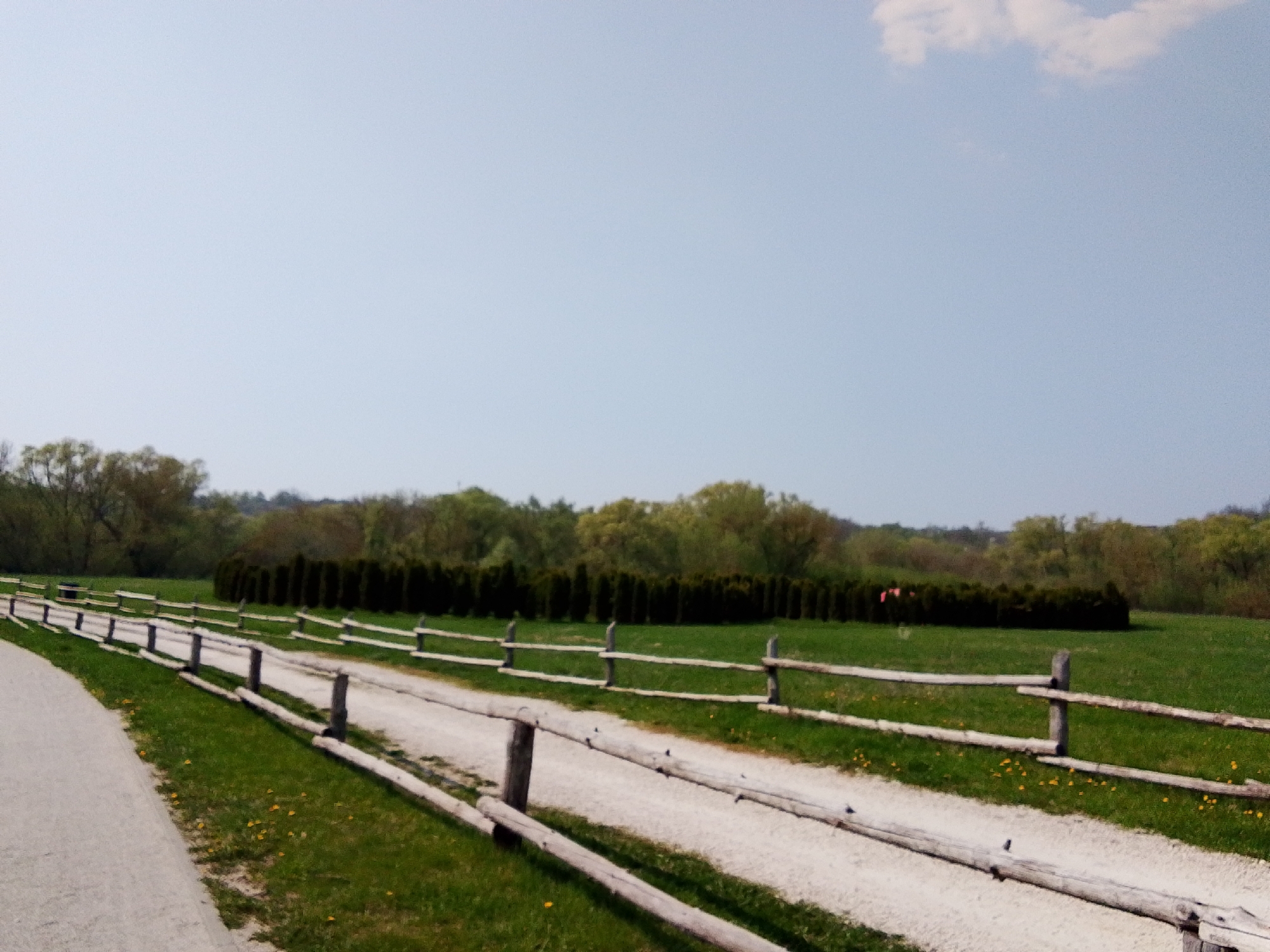 A daytime outdoor scene shows a dirt path running between a wooden fence and a paved walkway. Green grass covers the area between the paths and the fence, dotted with yellow flowers. Behind the fence, a row of dark green trees or shrubs stands in a line. Further in the background, a line of taller, lighter green trees stretches across the horizon under a light blue sky with a few white clouds. The location is not apparent from the image itself and cannot be confirmed as Каменка, Russia.