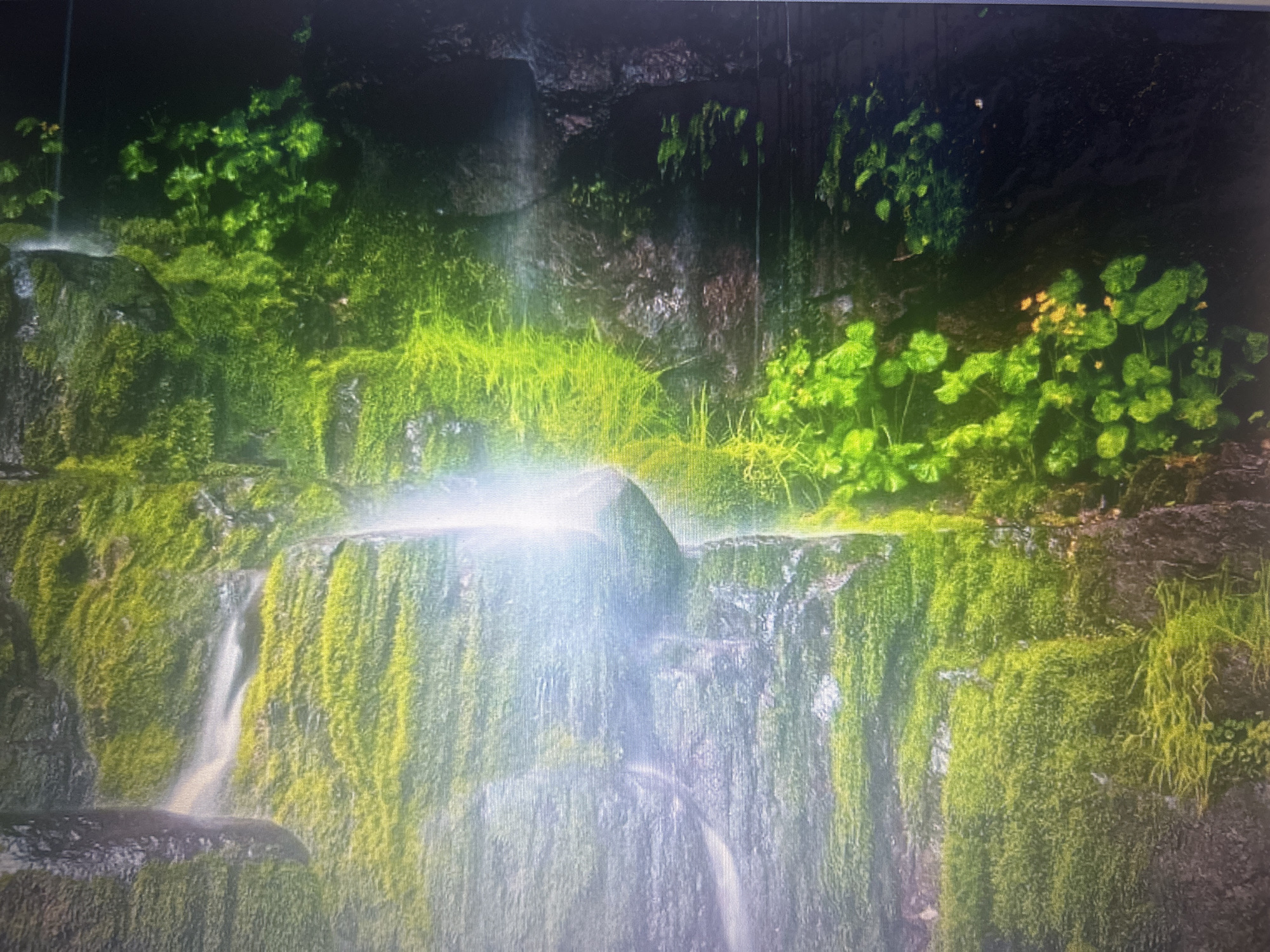 The image depicts a section of a moss-covered waterfall. Water cascades down rocks that are densely covered in bright green moss and some patches of grass. Lush green foliage can be seen growing on the rocks at the top and sides of the waterfall. The lighting suggests a shaded, natural environment. There are no people or man-made structures visible in the image.
This image does not depict a scene located in the city of Sofia, Bulgaria.