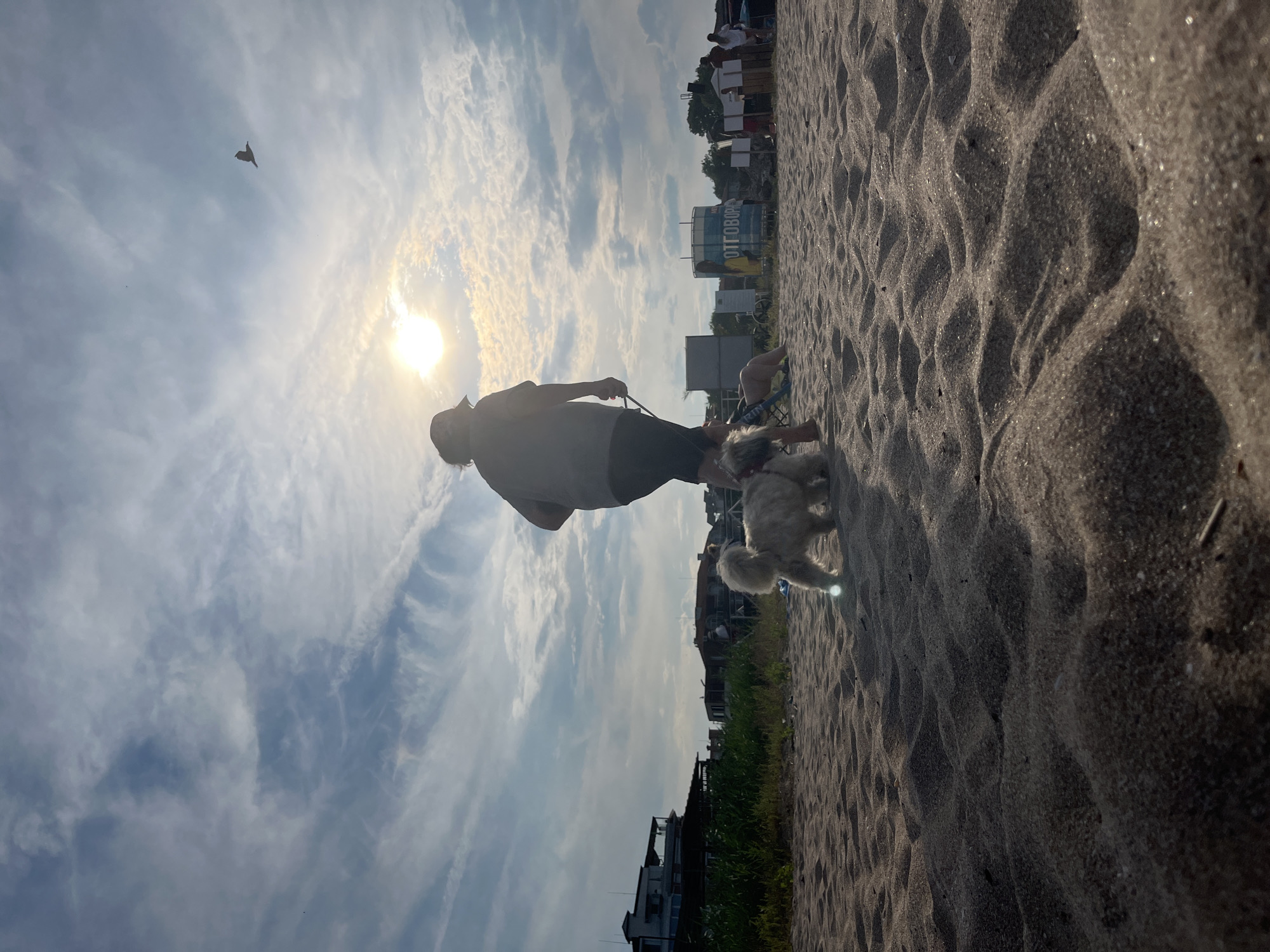 A low-angle, silhouetted shot captures a person walking on a sandy beach in Lozenets, Bulgaria, with two dogs on leashes. The person, wearing a cap and dark clothing, is in the middle ground, facing away from the camera and towards the sun. A small, fluffy white dog is in the foreground, on a leash, while a second, darker dog is further back and slightly out of focus. The sun is bright and high in a cloudy sky, with a bird visible in flight. Buildings and vegetation line the background, with some people and structures also present. The sand in the foreground is textured with shadows and light.