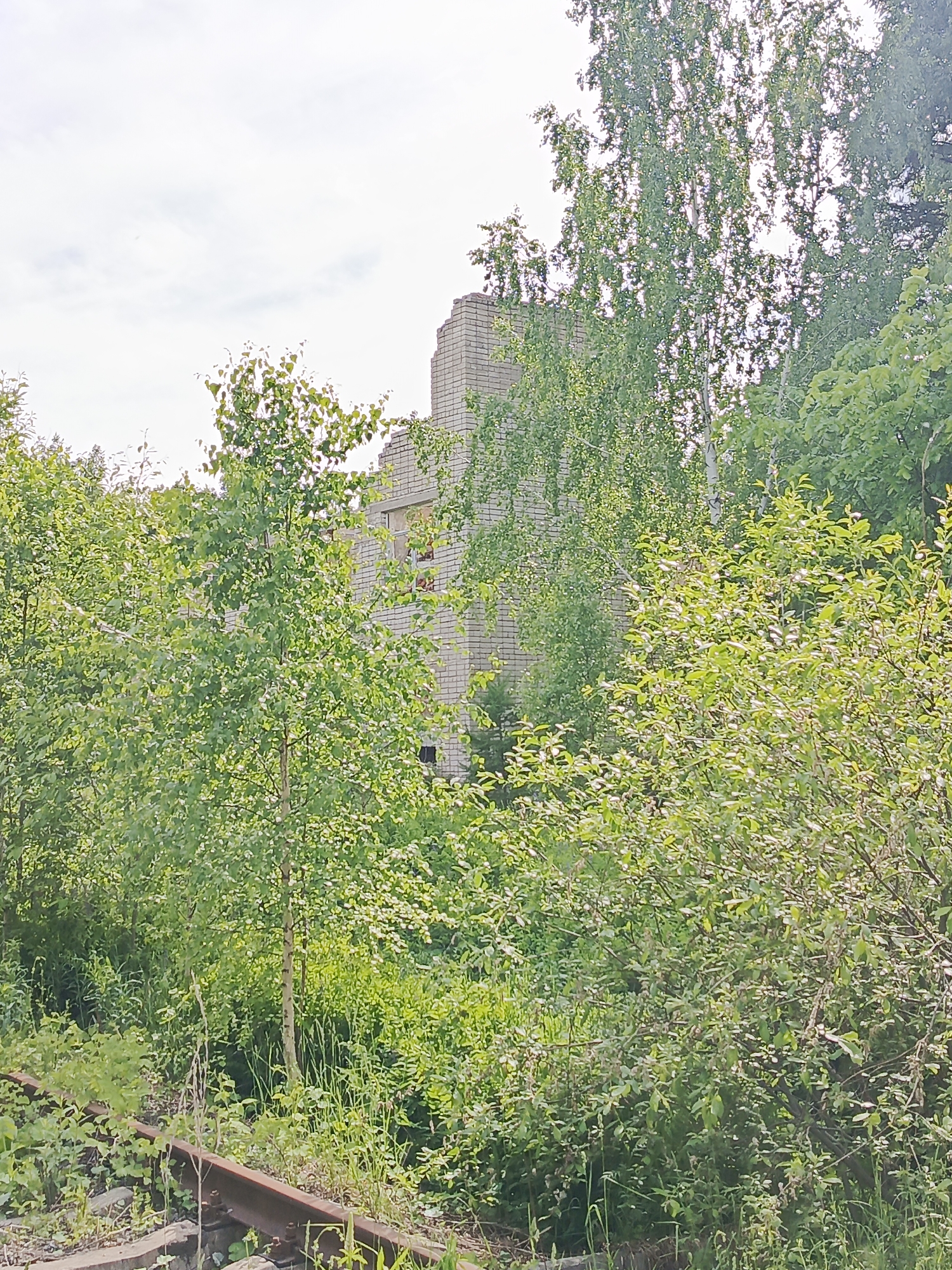 The image captures an overgrown, semi-abandoned landscape featuring a dilapidated brick building partially concealed by dense greenery and disused railroad tracks.
In the foreground and midground, a profusion of lush, green trees and bushes dominates the frame, creating a natural screen. Various deciduous trees, some appearing to be birches with their light-colored trunks, are scattered throughout. The ground is similarly covered in wild grass and undergrowth.
To the bottom left, a section of old railroad tracks is visible. The metal rails are rusty, and the ties are partially buried and surrounded by weeds, indicating a lack of recent use.
Behind the thick vegetation, a light-colored brick building stands in the midground. It appears to be a multi-story structure, though only parts of its facade are visible. The top edge of the building is jagged and incomplete, suggesting damage, demolition, or an unfinished state. Several dark, empty window openings are visible, hinting at the building's derelict condition.
The scene is illuminated by natural daylight under a bright, overcast or lightly cloudy sky, visible in the upper portion of the image. The overall impression is one of nature slowly reclaiming man-made structures. There are no people or animals visible in the image, and no discernible text.