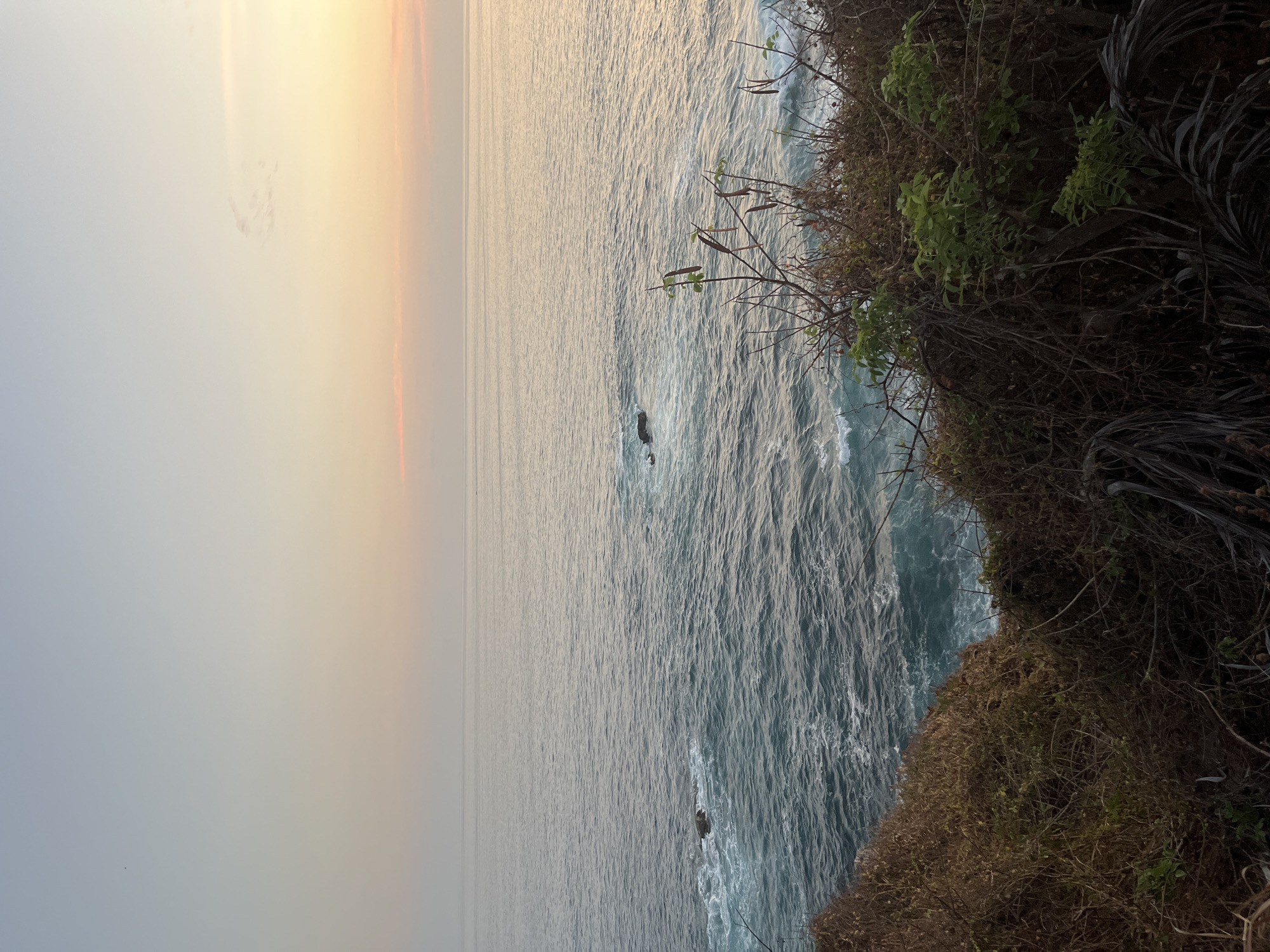 This photograph captures an ocean view at sunset from a cliff in Puerto Escondido, Mexico. The ocean dominates the scene, reflecting the muted colors of the sky. The cliff edge is densely covered in foliage, primarily various grasses and shrubs. The lighting indicates either sunrise or sunset, casting a hazy glow across the ocean and sky. No people are visible.