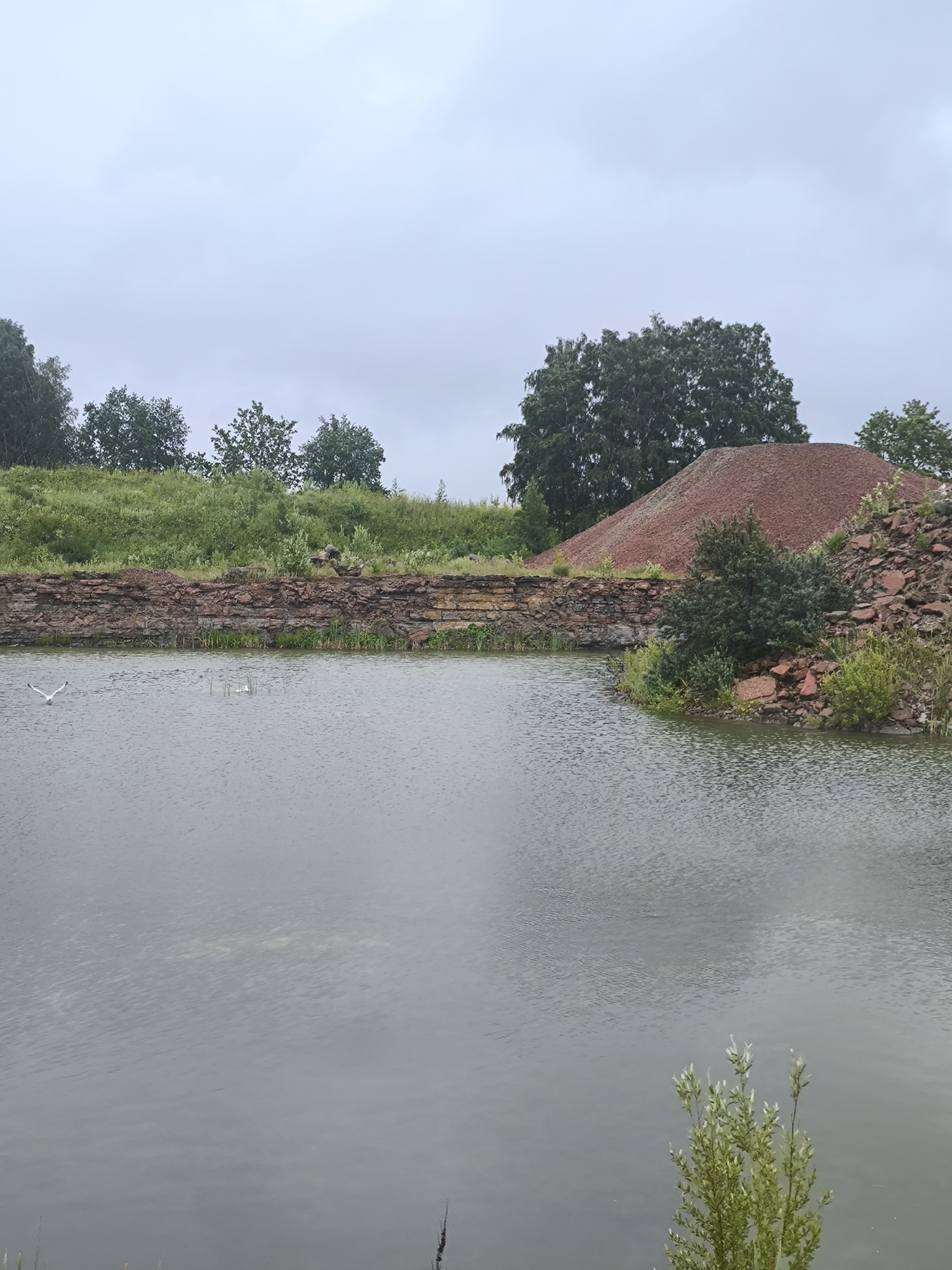 The image depicts a serene, overcast day at a quarry or industrial site with a body of water in the foreground. The water is calm, reflecting the muted tones of the sky and surrounding landscape. On the far bank, a steep, reddish-brown pile of aggregate dominates the scene, suggesting ongoing or past industrial activity. A low stone wall, showing signs of age and erosion, runs along the water's edge, partially overgrown with greenery.
Beyond the wall, a lush, green hillside rises, dotted with various trees and bushes. In the distance, a line of trees forms a natural boundary against the pale, cloudy sky. Two white birds, possibly seagulls or swans, are visible on the water's surface, adding a touch of life to the otherwise tranquil environment.
The overall impression is one of a quiet, somewhat melancholic, industrial landscape on a cloudy day. While the specific location within Tallinn, Estonia, cannot be definitively identified from the image alone, such quarry sites and their reclamation into natural or semi-natural areas are common in the outskirts of many cities. The presence of a large aggregate pile suggests a connection to construction or mining industries, which would likely be located in areas zoned for such purposes, possibly on the periphery of the urban center or in industrial zones.