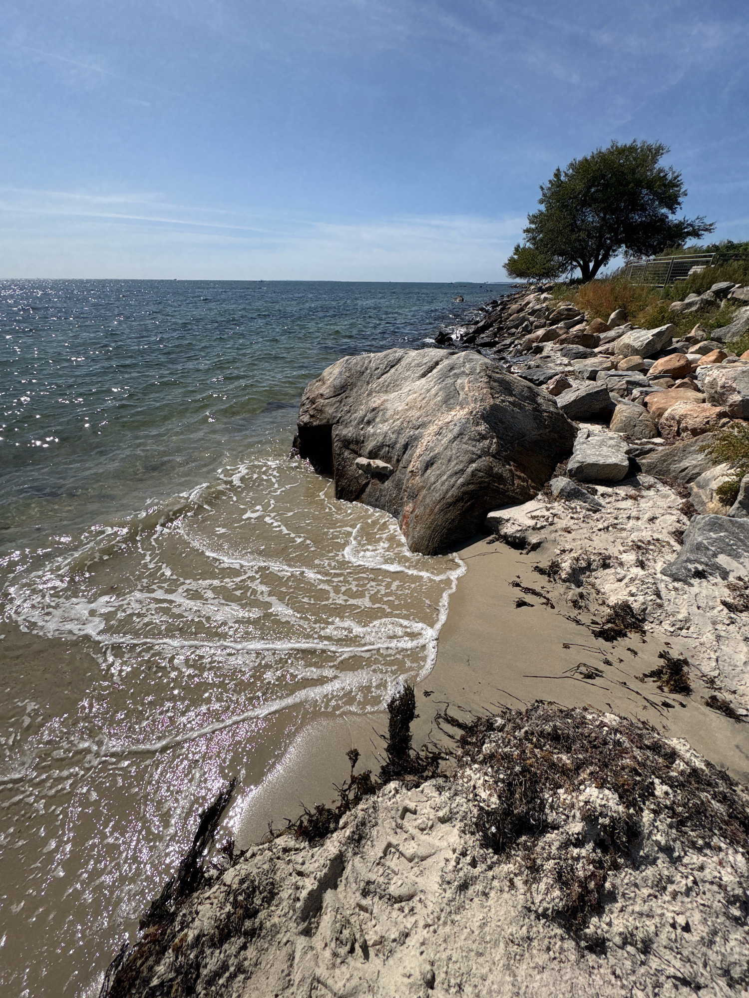 The image depicts a rocky shoreline on a sunny day. In the foreground, waves lap gently onto a sandy beach scattered with seaweed and large boulders. The water is clear and sparkles in the sunlight. Beyond the beach, a steep, rocky embankment rises, topped with a single, mature tree and a metal railing, suggesting a pathway or viewing area. The background shows a vast expanse of calm ocean under a bright blue sky with scattered wispy clouds. The location is identified as Waterford, United States of America. There are no people visible in the image.