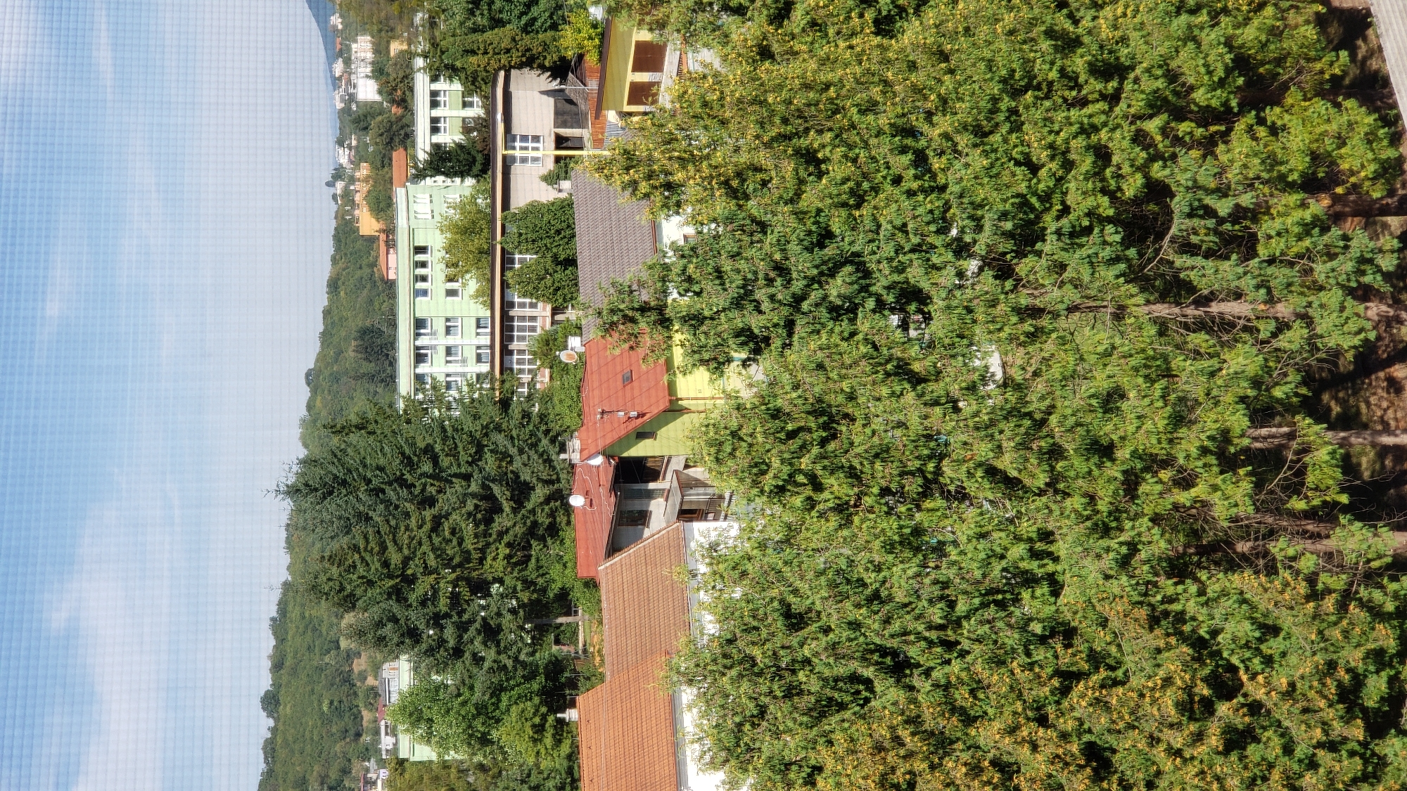 An aerial, medium-shot view captures a residential area in Prešov, Slovakia, on a clear day. In the foreground, dense, dark green coniferous trees dominate the lower half of the frame. Behind the trees, several houses with red and brown tile roofs are visible, interspersed with yellow and green buildings. Further in the background, a large, light green apartment building with multiple windows stands out, along with other buildings and a forested hill. The sky above is a pale blue with faint clouds, and a subtle grid pattern suggests the photo was taken through a screen or mesh.