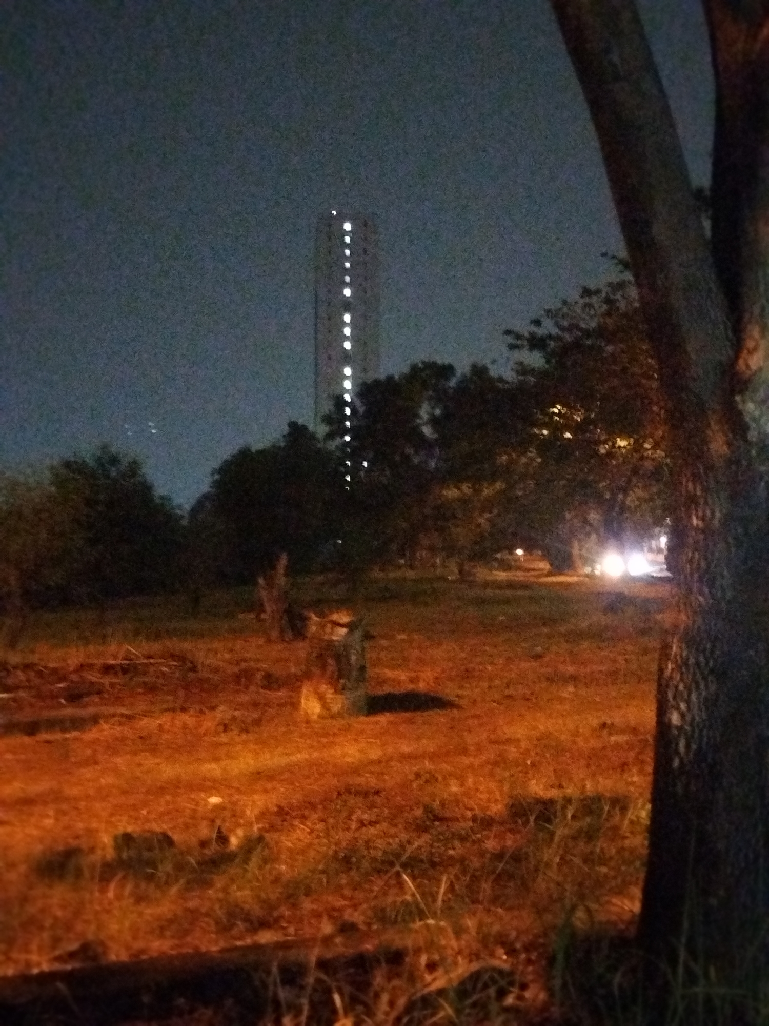 A tall, slender building with numerous illuminated windows is visible in the distance, set against a dark, hazy night sky. In the foreground, a large tree trunk occupies the right side of the frame, its textured bark illuminated by an unseen light source. The ground is covered with dry grass and dirt, with patches of orange and brown tones suggesting artificial lighting. Several smaller trees and bushes are scattered throughout the midground, partially obscuring the view of the distant building and a road where two bright headlights are visible, indicating the presence of vehicles. The overall scene depicts an urban environment at night, with the distinct glow of artificial lights contrasting with the darkness. Based on the architecture and vegetation, this scene is likely located in Depok, Indonesia, a city known for its blend of urban development and green spaces.