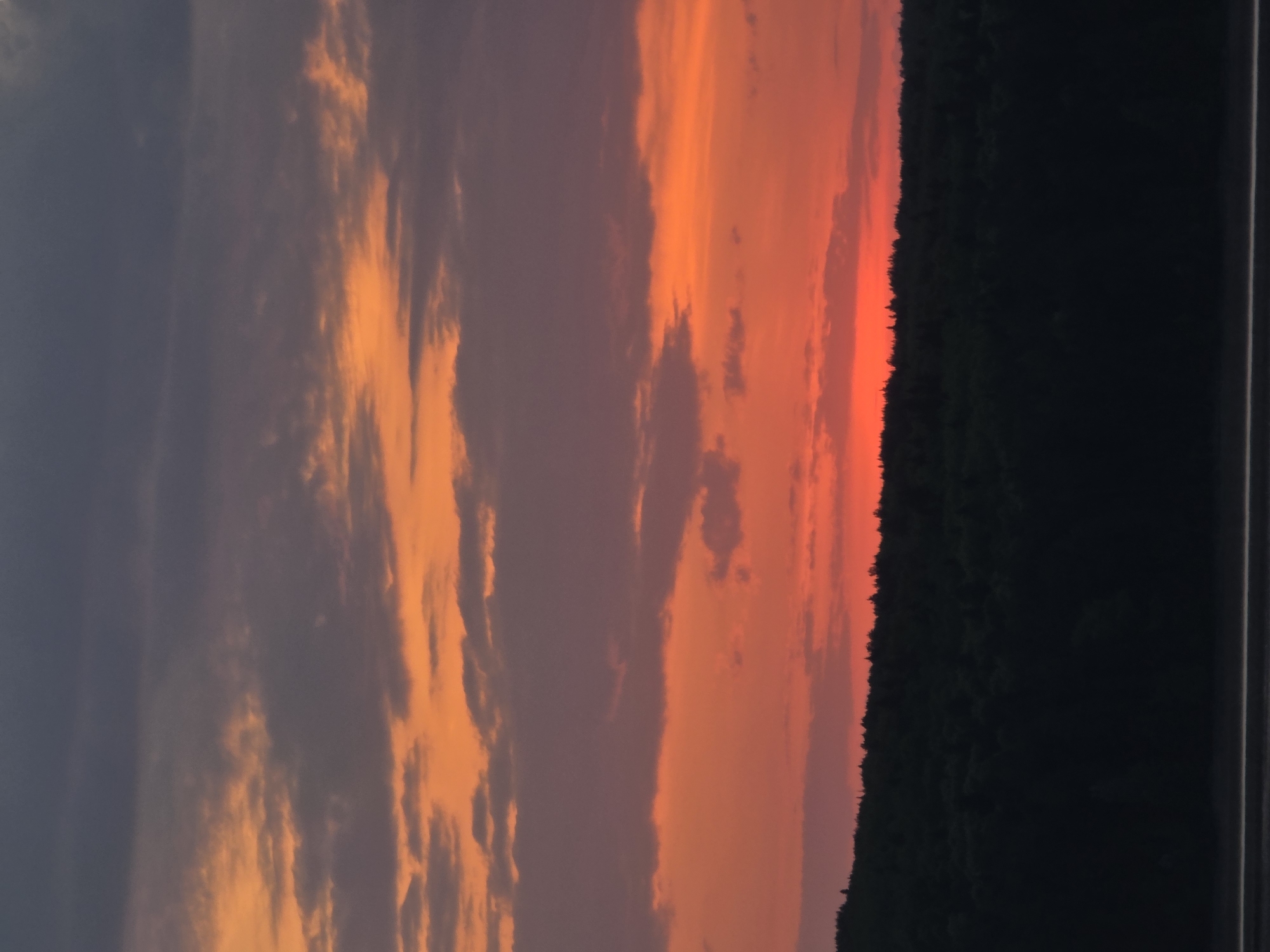 The image shows a sunset over a dark forest in Chaikovsky, Russia. The sky is filled with orange and red hues, with some clouds visible. A dark mass of trees is present on the right side of the image. Part of a structure is visible in the lower right corner.