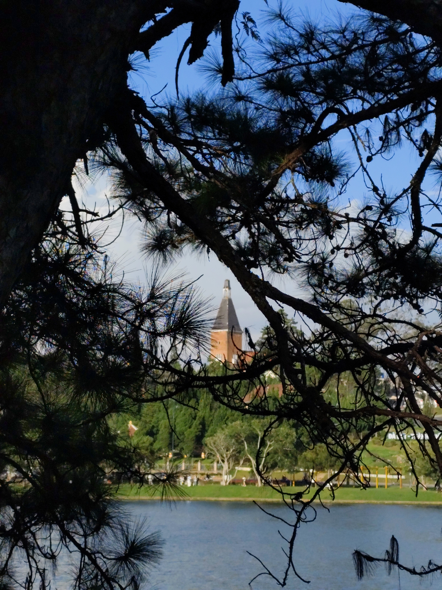 This is a photograph taken through the branches of a pine tree, framing a view of Xuan Huong Lake in Da Lat, Vietnam. The foreground is dominated by the dark silhouette of the pine tree's branches and needles, creating a natural frame for the scene beyond. The lake occupies the lower portion of the image, its surface a muted blue. In the mid-ground, a lush green landscape with scattered trees and grass lines the shore. A building with a distinctive conical tower, likely a part of the Da Lat Railway Station or another landmark in the area, rises above the trees. The sky above is a clear blue with some scattered white clouds. The overall impression is one of natural beauty and architectural interest, viewed from a shaded vantage point.
