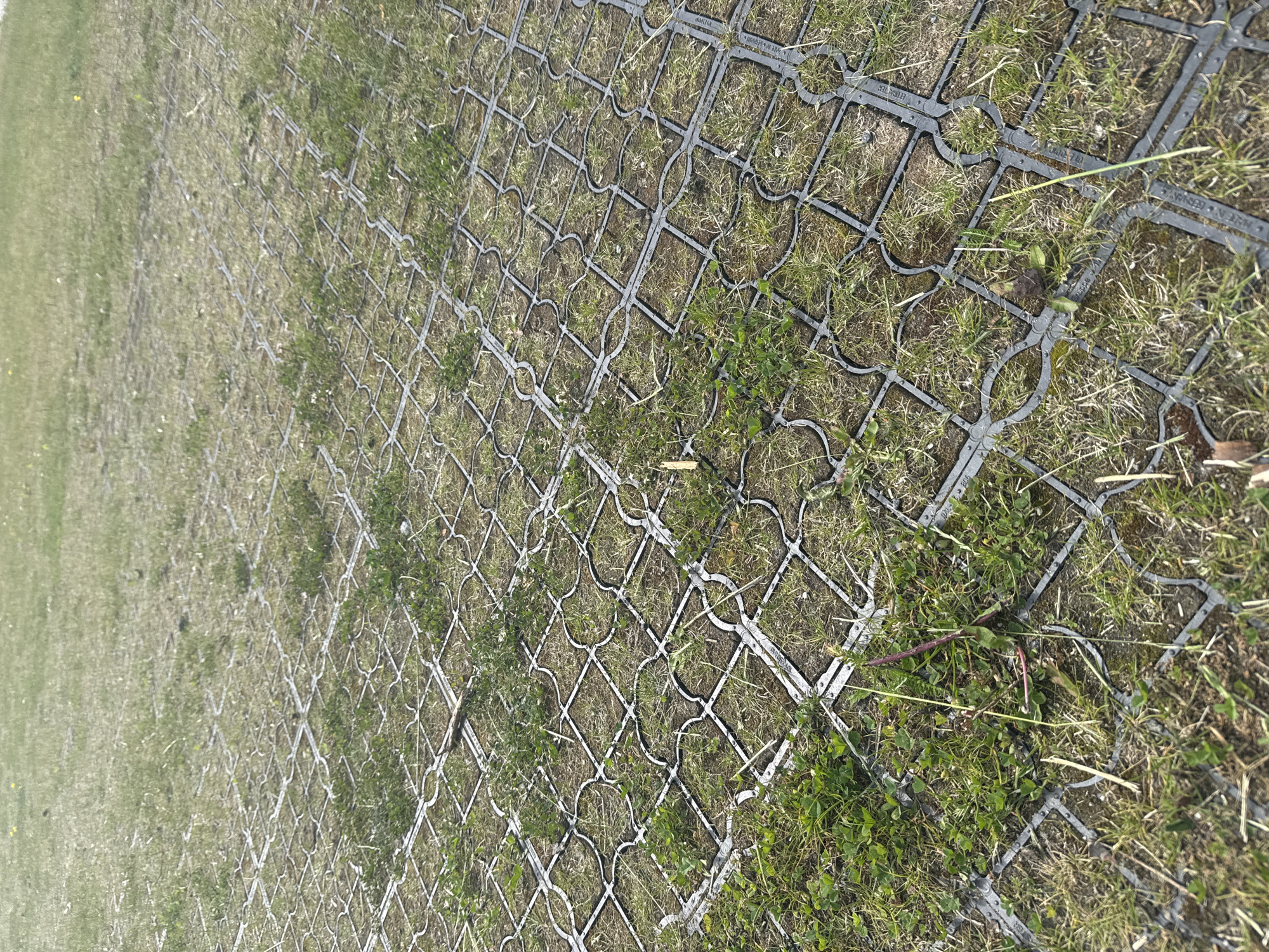 The image shows a close-up, eye-level, outdoor shot of a permeable paving system with grass growing through it. The paving is a grid of interlocking plastic cells, mostly dark gray, with an intricate lattice pattern within each cell. The cells are filled with soil and patches of green grass, some of which are quite robust, while other areas show sparser growth with dry grass. There are a few small weeds and some dried plant debris scattered across the surface. The paving extends into the distance, creating a textured, geometric pattern that fills the frame. The background is a blurred expanse of green grass, indicating a larger grassy area. There are no people or animals visible. The scene suggests a functional outdoor space, possibly a parking area or pathway designed to allow water to permeate the ground. The specific location in Tallinn, Estonia is not visually identifiable from the image alone.