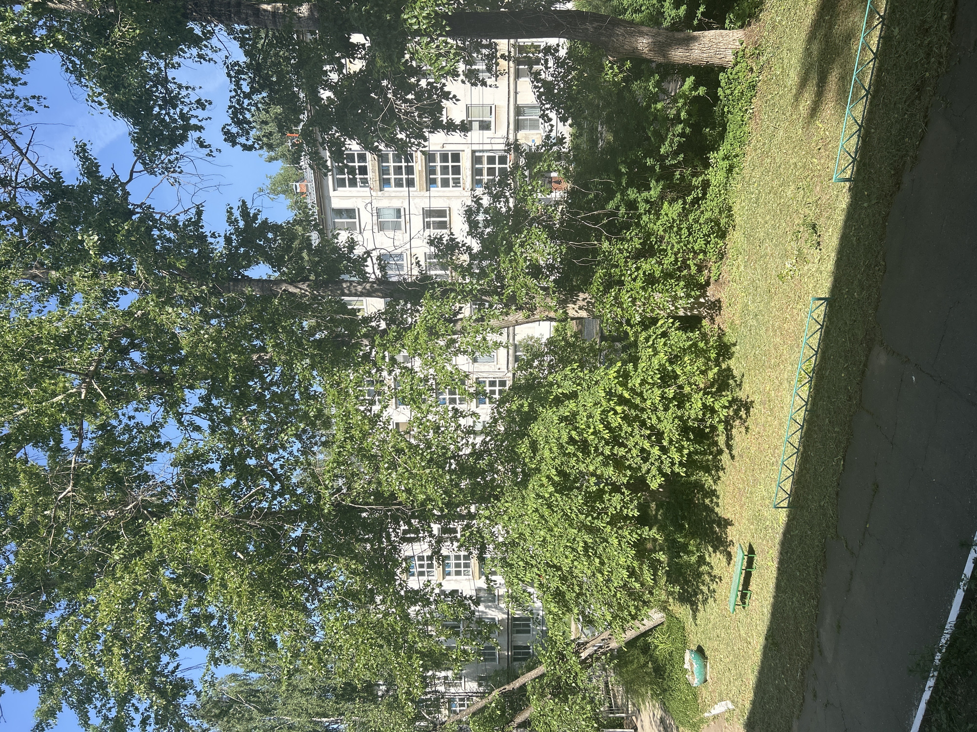 The image shows a view from an elevated position overlooking an outdoor scene in what appears to be an urban setting. A multi-story building with numerous windows is partially obscured by trees with lush green foliage. To the right of the frame, there is a grassy area with a green fence and a paved walkway. There is also a green bench visible in the grassy area.
Given the prompt’s information, the location is in the city of Chaikovsky, Russia, but without additional information, this is based solely on the prompt's data.