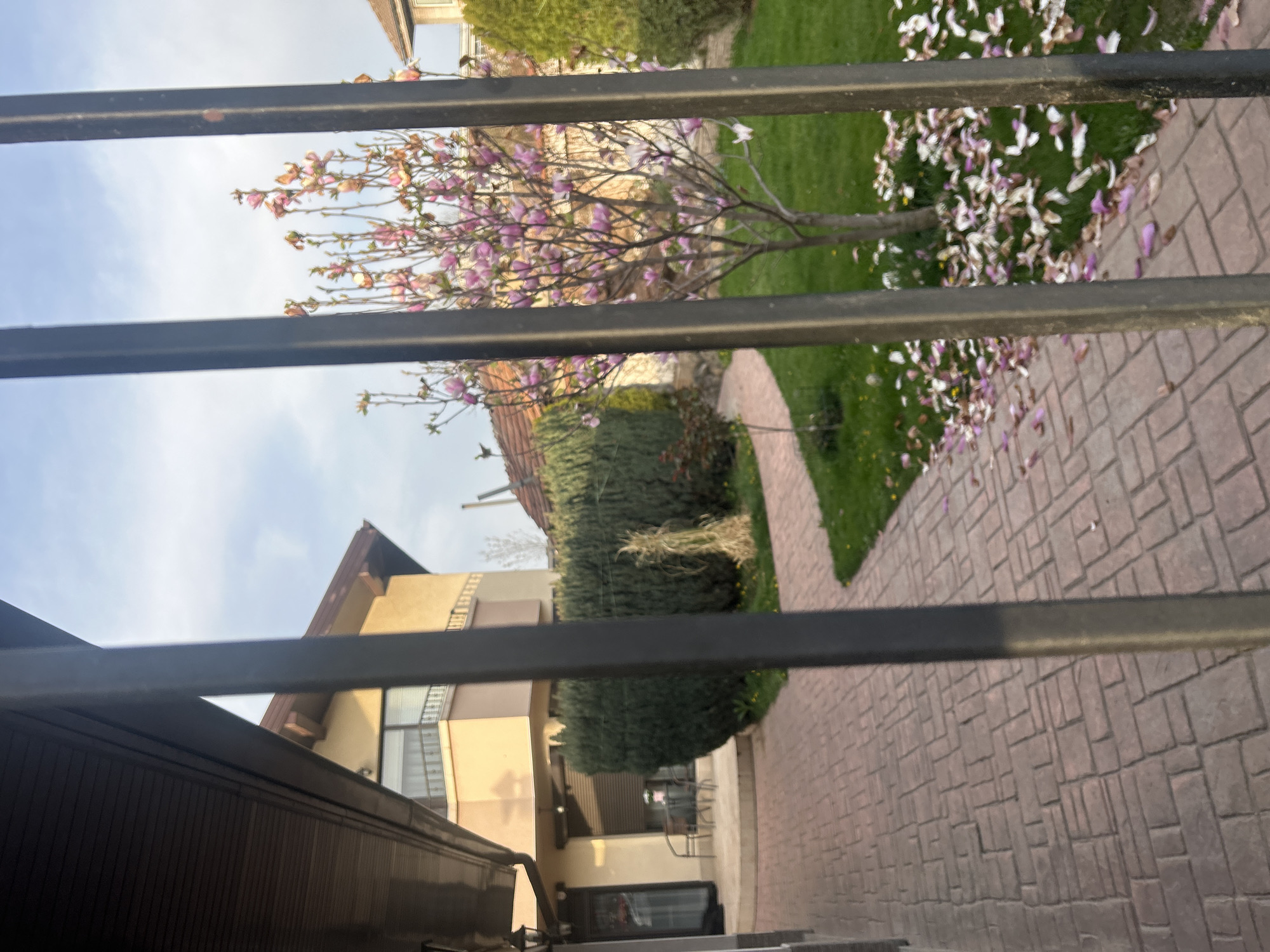 The image, shot from behind a metal railing, presents a view of a residential area. A two-story building with a beige exterior and brown roof is visible, accompanied by a well-maintained yard featuring a blooming tree with pink and white flowers. A brick pathway extends through the yard, bordered by grass and hedges. The scene suggests a peaceful, suburban setting. The location is identified as Unknown, Unknown. No people are visible in the frame.