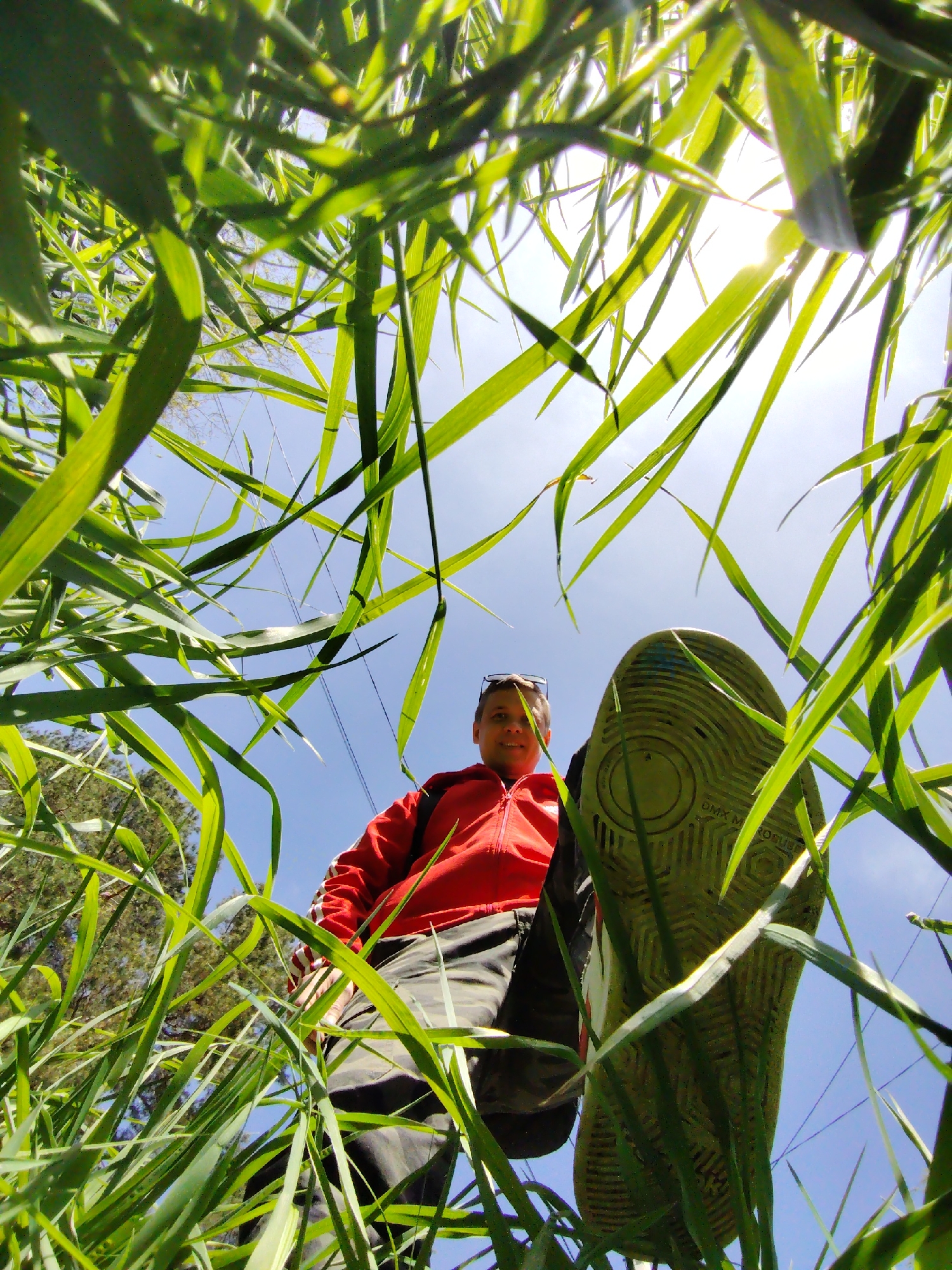 A low-angle, upward-looking photograph captures a person standing among tall, green reeds or grass, possibly in Chaikovsky, Russia, although no specific features confirm the location. The individual, wearing a red jacket, dark pants, and sporting sunglasses atop their head, gazes downward with a slight smile. One of their feet, shod in a grey shoe with visible sole treads bearing the text "DMX MICROBUBS," is prominently positioned in the foreground, partially obstructing the view. The tall, blade-like greenery frames the subject and occupies much of the shot. Sunlight filters through the vegetation against a backdrop of clear, blue sky. A few trees are faintly visible in the background, along with a powerline. The camera's perspective gives the impression of lying on the ground amidst the vegetation.