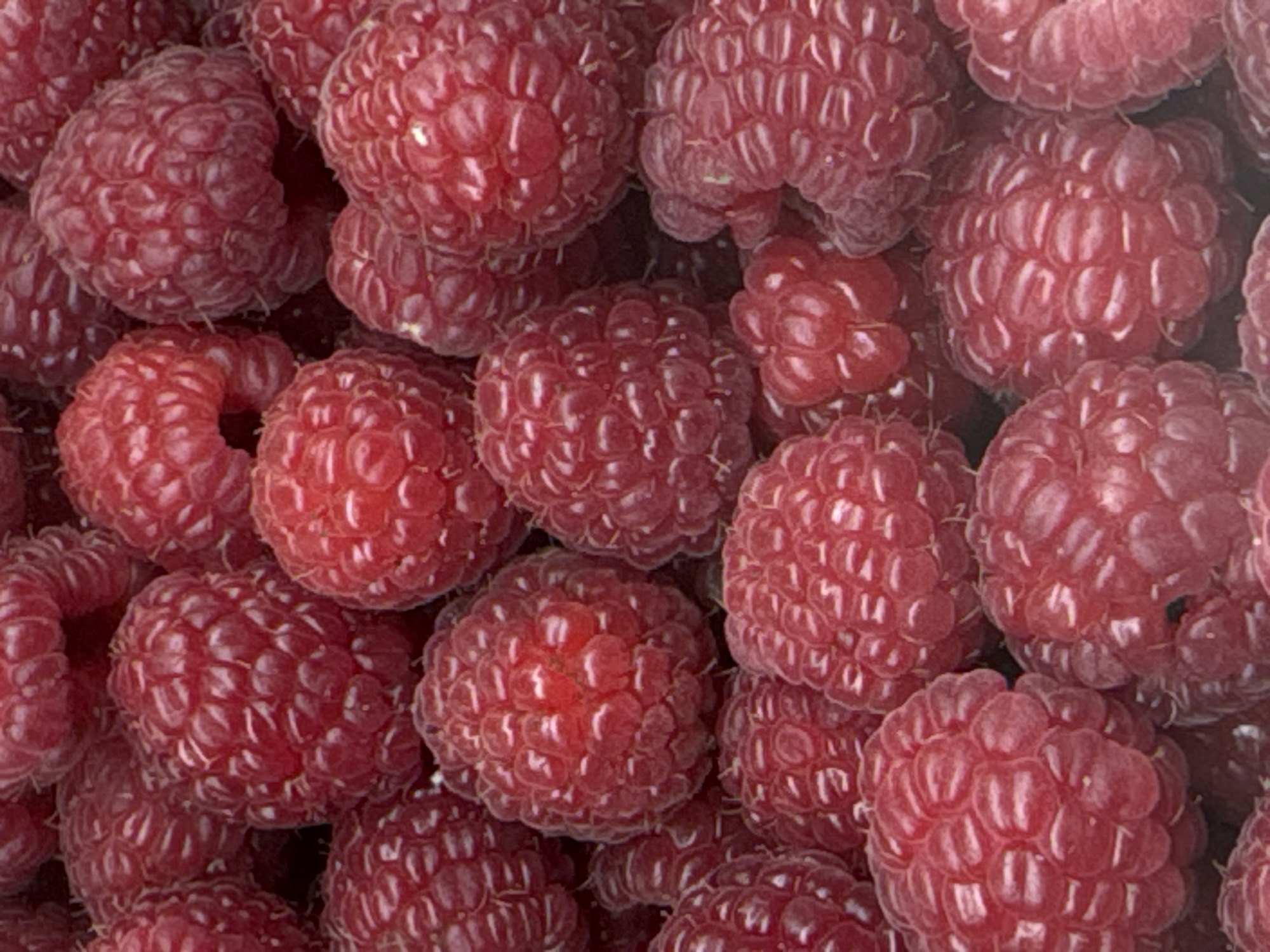 The image shows a close-up view of a pile of raspberries. The raspberries are a vibrant red color and appear fresh. There are no people or location indicators visible in the image, so it's impossible to determine if it's in Moscow, Russia, or any other location.