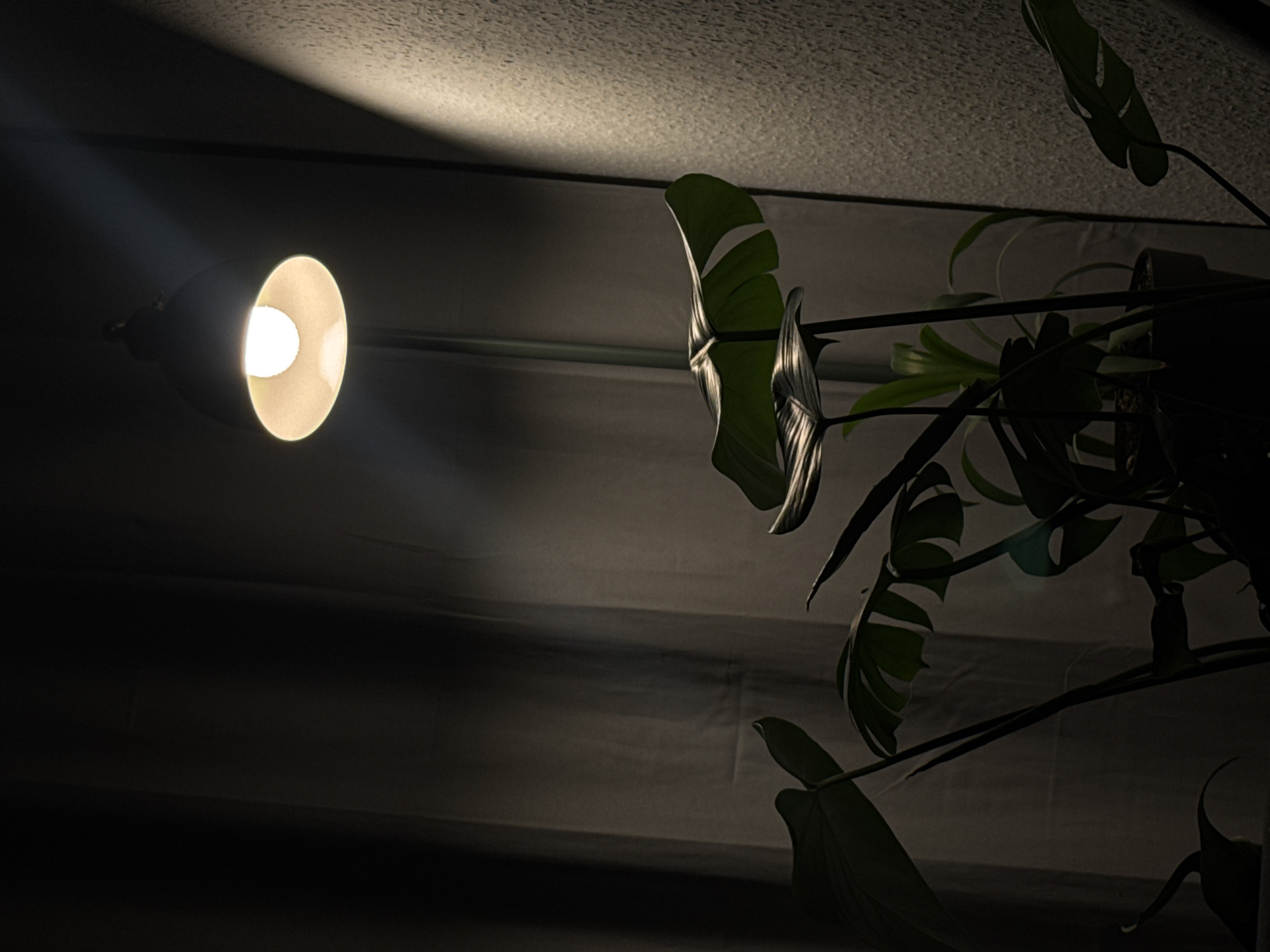 A dimly lit interior scene features a standing lamp with a white bulb casting a warm glow downwards onto a potted monstera plant. The plant's large, fenestrated leaves are partially illuminated, creating dramatic shadows against a dark, textured wall on the right and a draped fabric on the left. The overall atmosphere is moody and atmospheric.