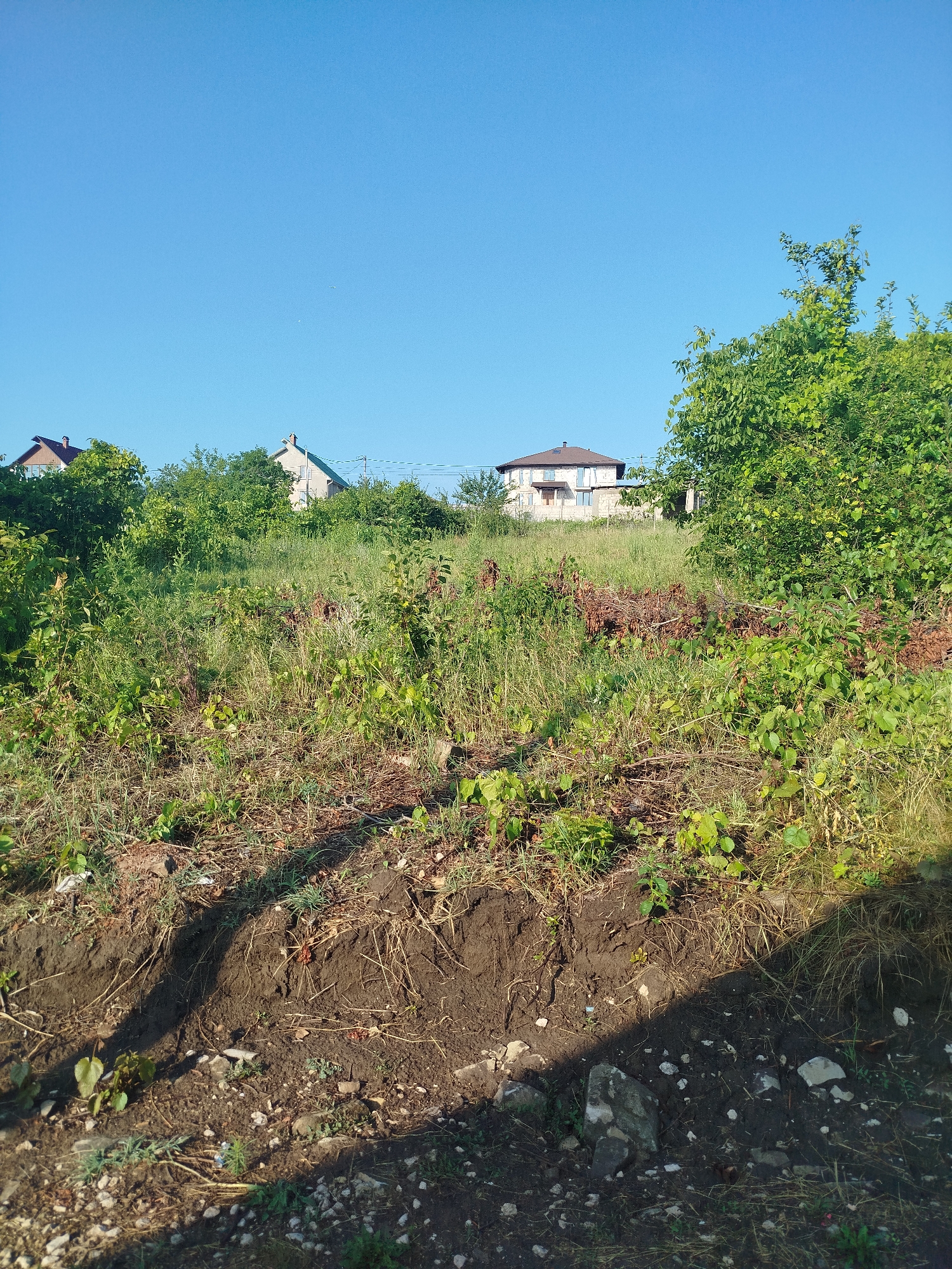 The image depicts a residential area with a clear blue sky above. In the background, two houses are visible amidst lush green trees and vegetation. The house on the left has a brown roof and light-colored walls, while the house on the right is larger, with a brown roof and stone-like exterior walls, featuring several windows. The foreground is dominated by a grassy slope with some exposed soil and scattered rocks, suggesting an undeveloped or partially developed area. The presence of trees and houses indicates a suburban or semi-rural environment within Nimoreni, Moldova. No people or ongoing activities are visible.