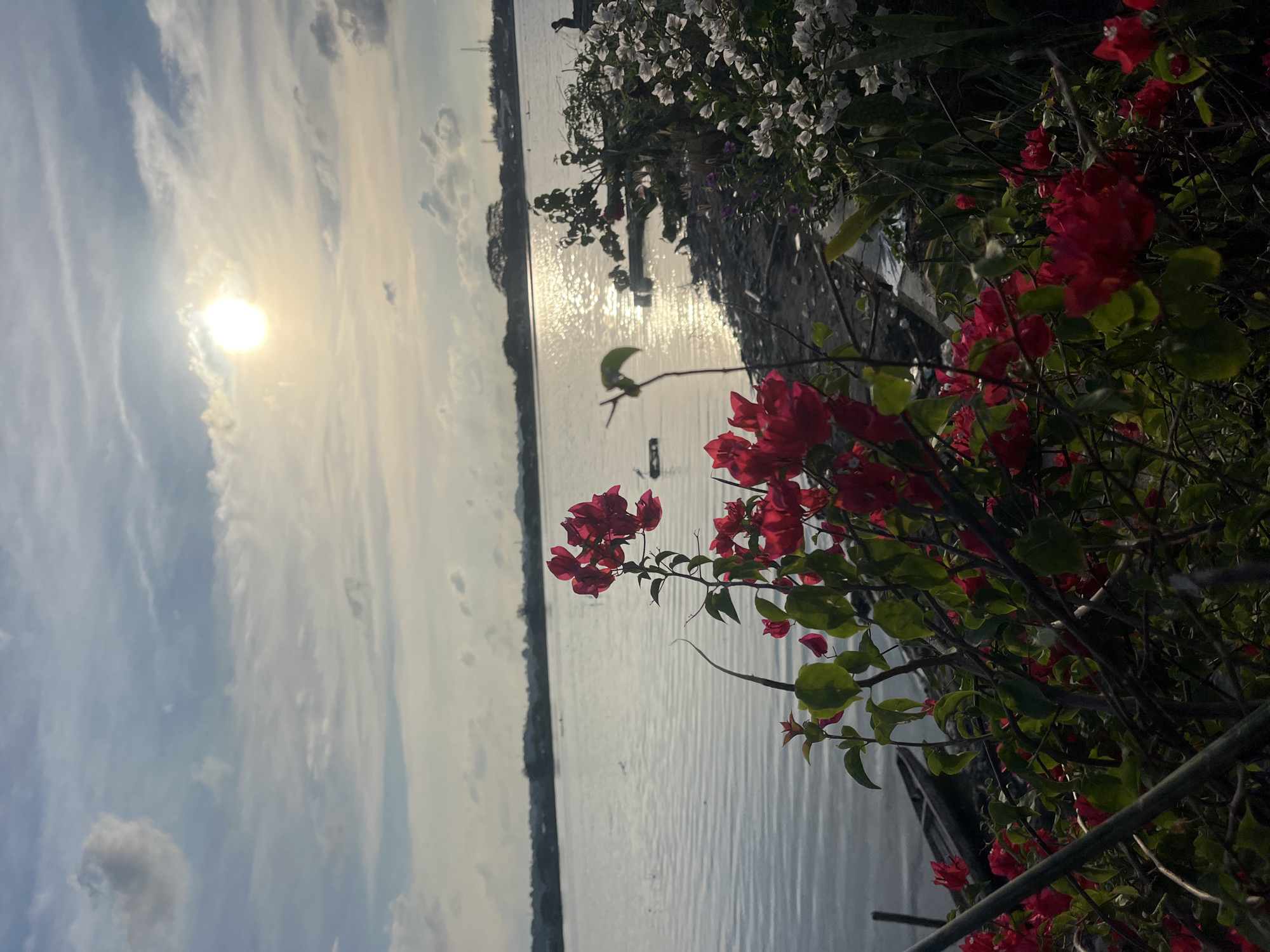 The image captures a waterfront view in Lhokseumawe, Indonesia. The sky is bright with the sun obscured by clouds, creating a shimmering reflection on the water's surface. Along the shoreline, there is vegetation including red bougainvillea. In the water, a small boat is visible. The scene is oriented vertically.
