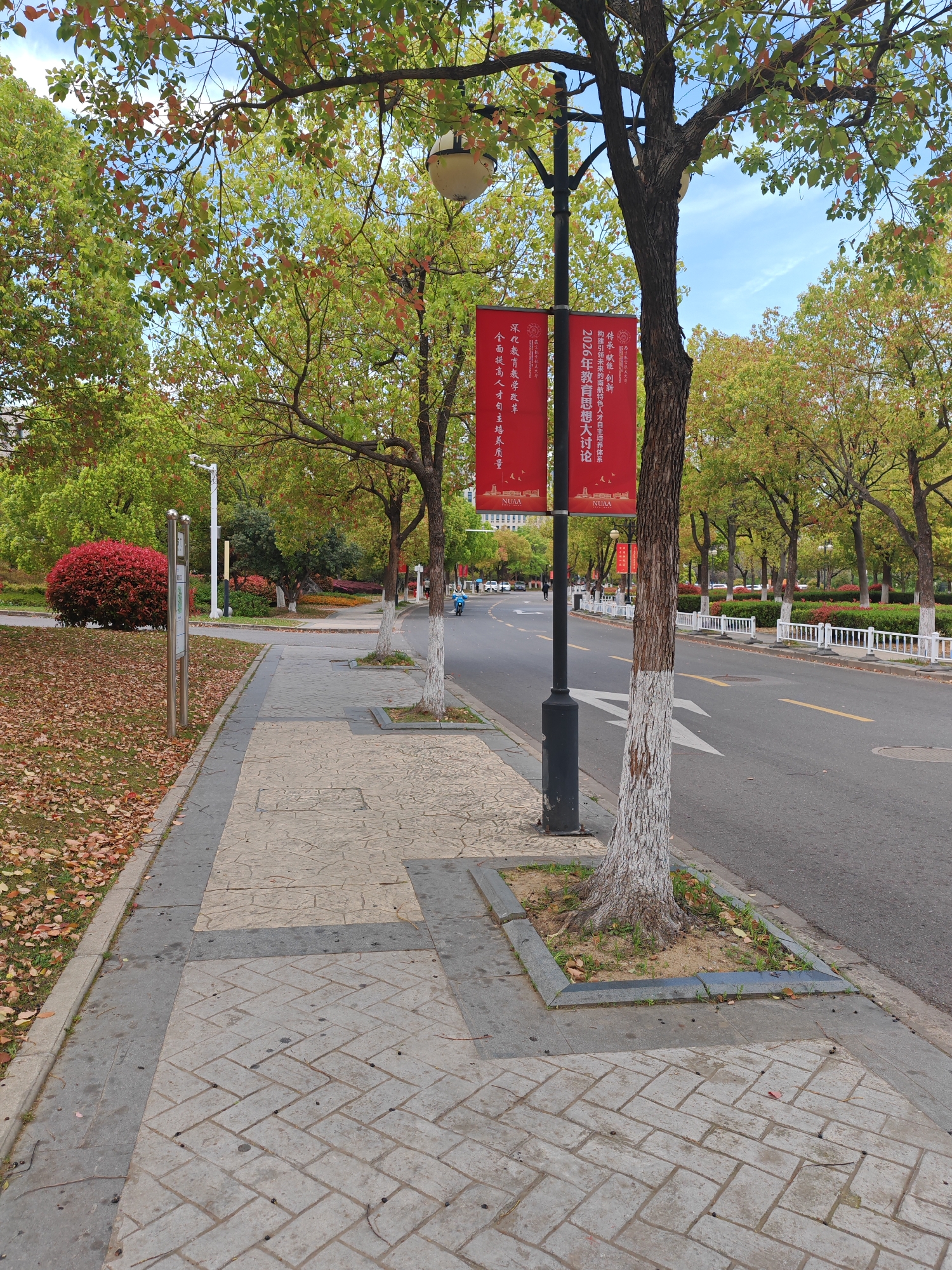 The image depicts a street scene in Jiangning District, China, characterized by autumn foliage. A sidewalk paved with alternating gray and tan brick patterns borders a two-lane road. Red bushes and fallen leaves are visible on the left side of the sidewalk. Trees line both sides of the street, their trunks painted white at the base. Black lampposts with red banners attached are interspersed among the trees. The banners have text in Chinese. A white fence separates the street from landscaped areas with hedges and trees in the background. A scooter can be seen driving in the background of the street.
