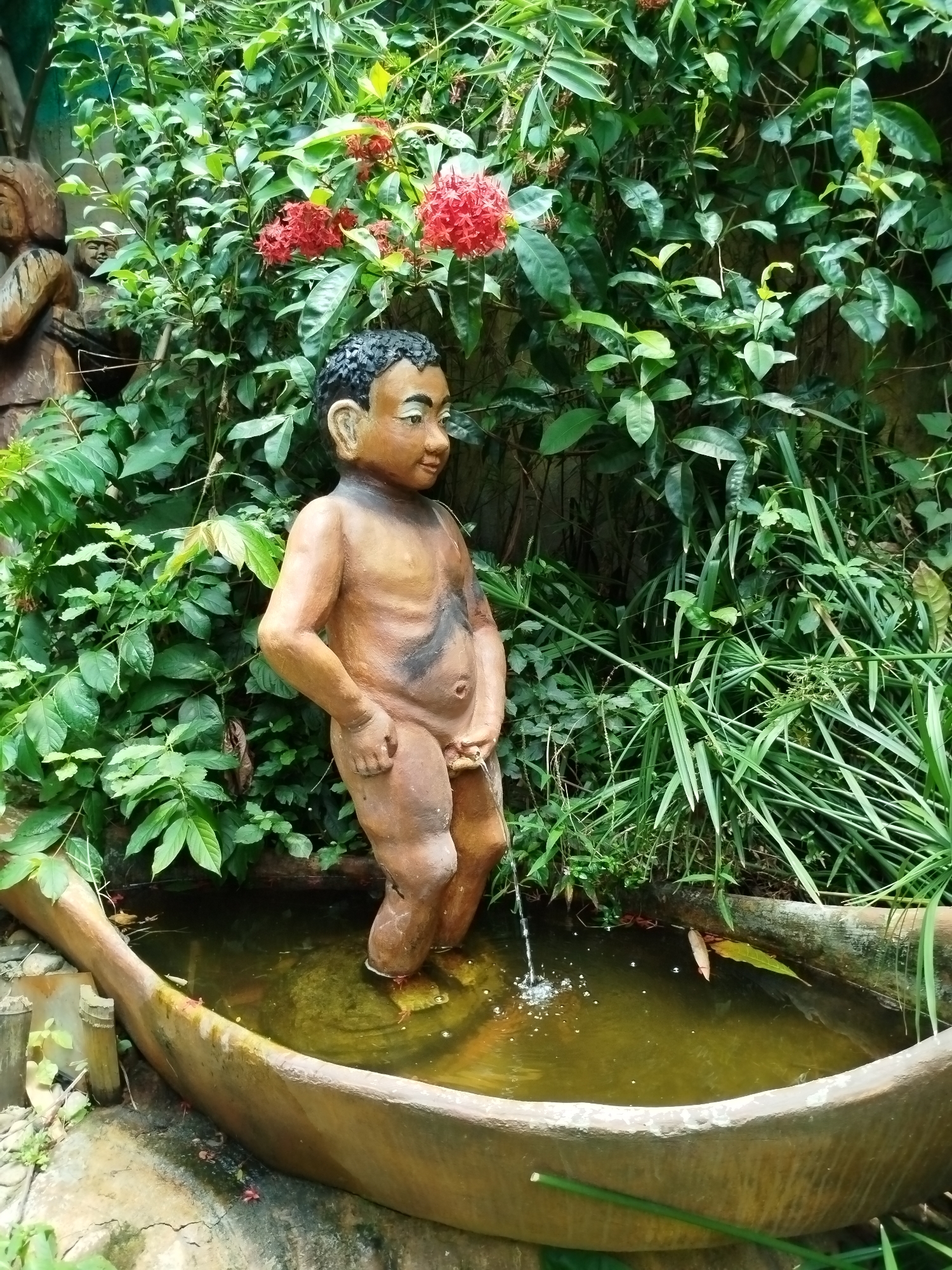 The image captures a garden scene featuring a fountain designed as a statue of a young boy. The statue, likely made of carved wood or a similar material with painted details, depicts a dark-skinned boy with black, curly hair and a neutral expression. He stands unclothed, and a stream of water flows from his genital area into a shallow, oval-shaped basin below, creating ripples in the greenish water.
The boy statue is surrounded by dense, lush green foliage of various types, suggesting a tropical or subtropical environment. Bright red flowers, appearing in clusters, are prominently visible among the green leaves in the upper left section of the image, adding a vibrant splash of color. To the left, partially obscured by the plants, other wooden carvings or sculptures can be seen, one of which appears to be a carved face. The setting is natural and organic, with the ground around the basin visible.
The scene takes place during the daytime, under what appears to be soft or diffuse lighting, as there are no harsh shadows. The overall impression is that of a whimsical and decorative garden feature. There is no visible text in the image.