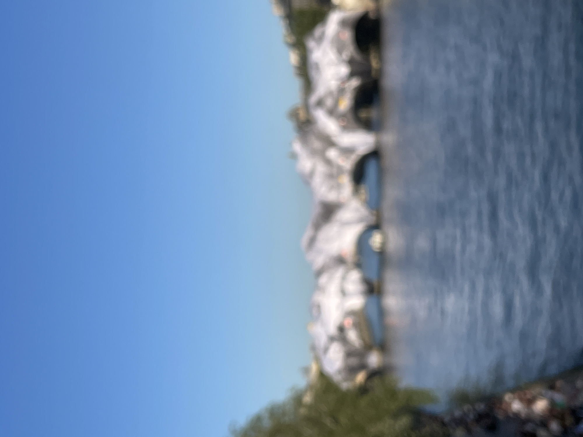 The image shows a blurred view of the Bir-Hakeim bridge in Paris, France. The bridge's steel structure with stone piers is visible, along with the Seine River and trees lining the bank. The sky is clear and blue.