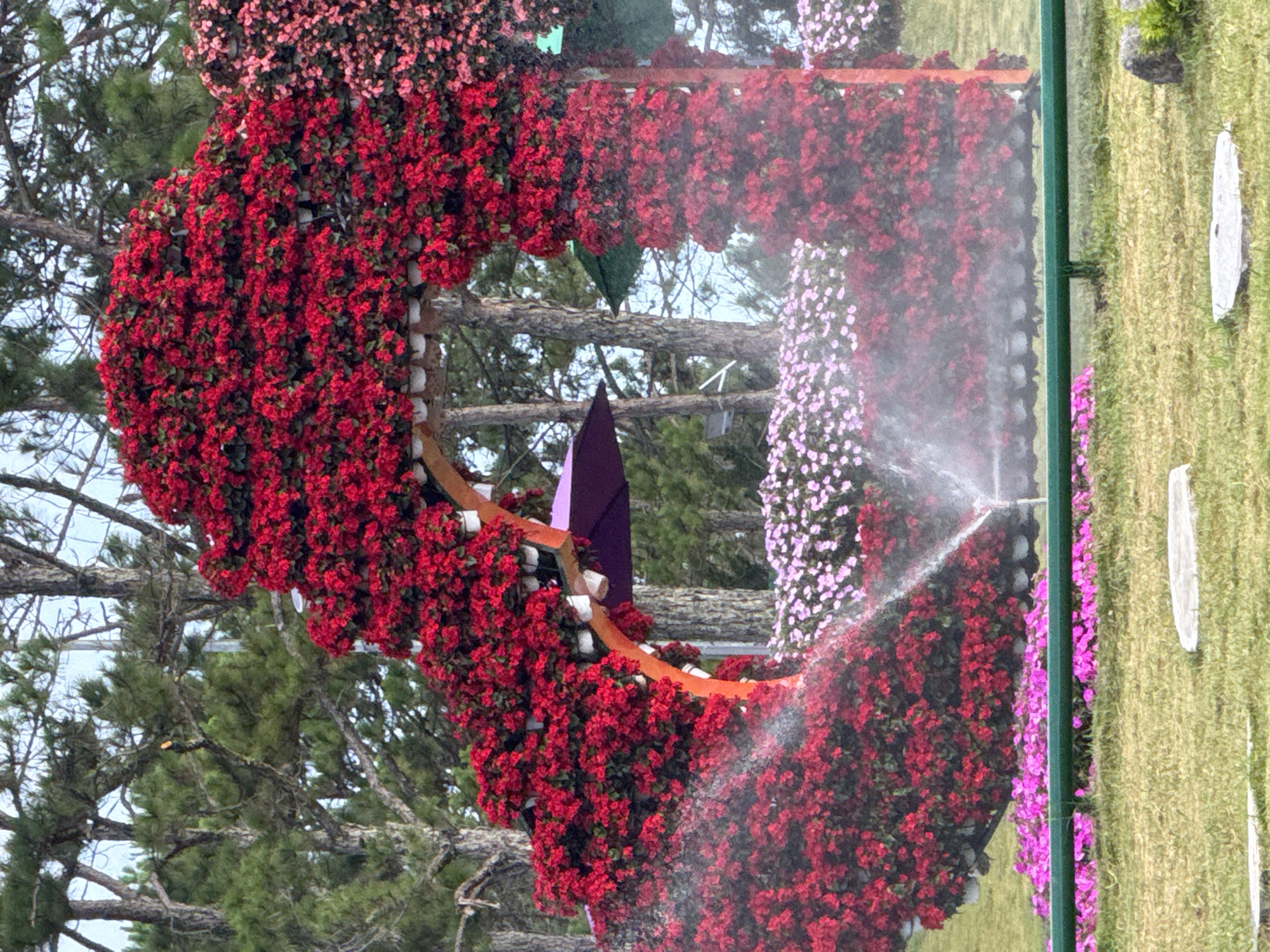 This is a medium shot of a floral archway at the Da Lat Flower Park in Phường Xuân Hương, Đà Lạt, Vietnam. The arch is adorned with abundant red flowers, with some pink flowers visible on the right. A sprinkler system is actively watering the lower section of the arch and the surrounding flower beds. In the background, pine trees are visible, and the sky is overcast. Several flat, grey rocks are scattered on the grassy foreground.
