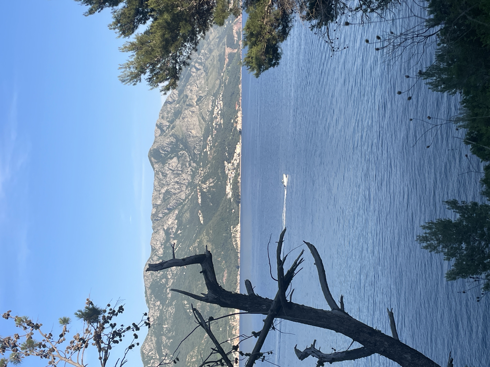 The image depicts a coastal view in or near Boreti, Montenegro. The frame is partially obstructed by foliage at the top and a dead tree branch in the lower foreground. In the distance, a mountain range rises from the coastline, with clusters of buildings visible along the shore. The sea is calm with a small boat leaving a wake. The sky is clear.