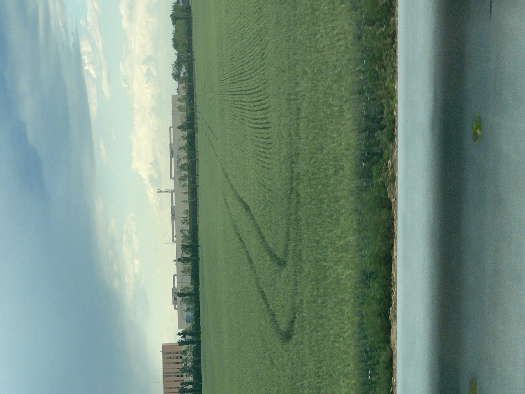 The image shows a large, green field with rows of planted crops. In the background, there are several buildings and trees along the edge of the field, bordering what appears to be a road. Tire tracks are visible in the field. The sky is overcast with a mix of blue and white clouds. The photograph appears to be taken from a moving vehicle. Given the prompt location in Balotești, Romania, the scene is likely a farmland area outside the city limits.