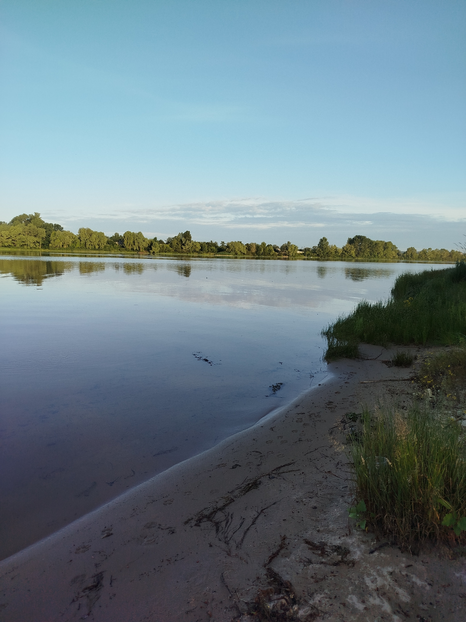 The image depicts a serene natural landscape at a body of water. The foreground features a sandy bank with some vegetation. The water is calm and reflects the sky and the trees lining the opposite bank. The opposite bank is densely wooded with a line of trees, some of which appear to be willow trees. The sky is a clear blue with some wispy clouds. The overall impression is one of peace and tranquility. The location is not identifiable as being within a city.