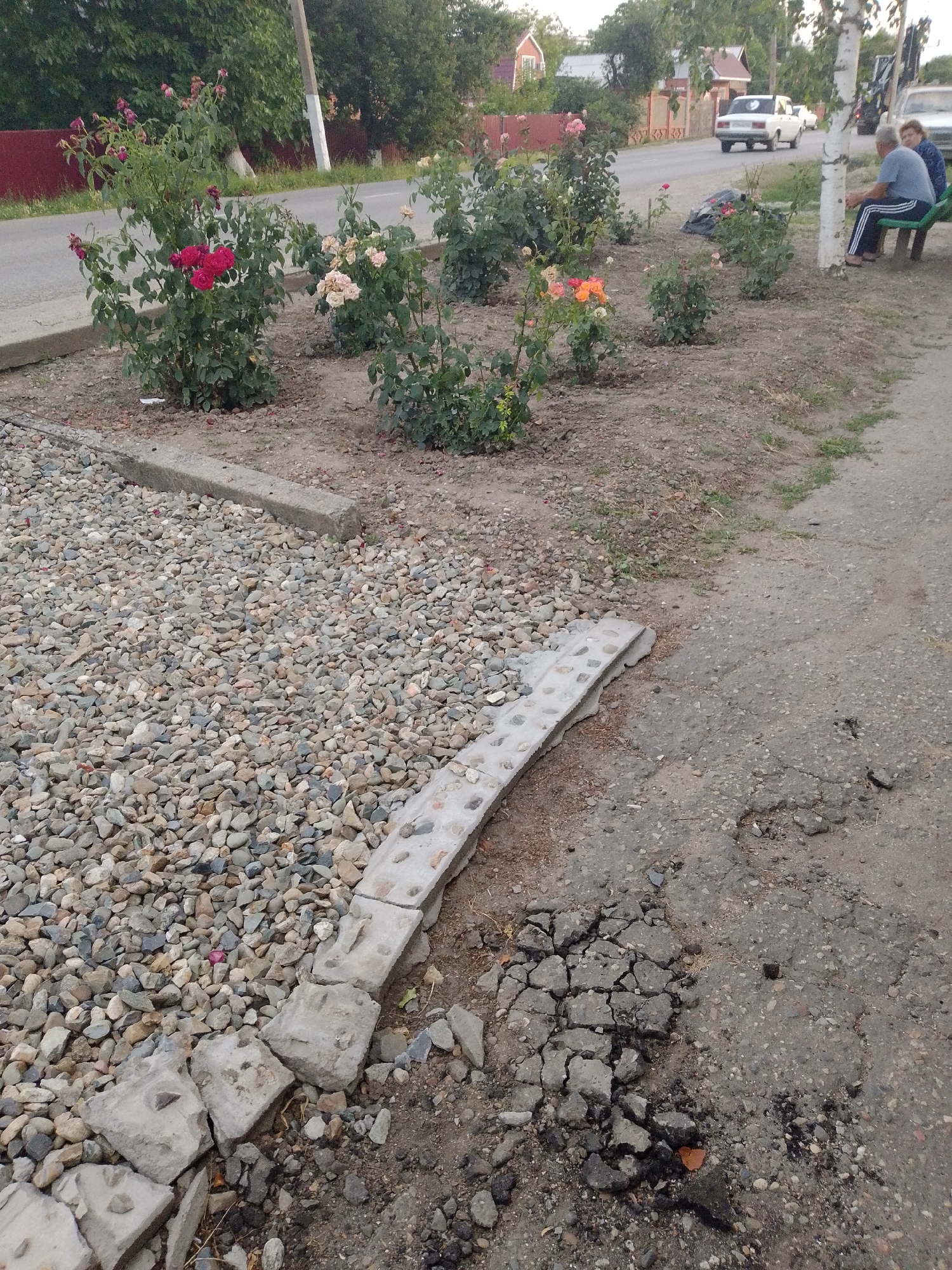 The image shows a street-side view in Staroshcherbinovskaya, Russia, with a focus on a flowerbed and a damaged asphalt area. In the foreground, a gravel bed is bordered by a broken concrete curb made of unevenly sized concrete segments. A man and a woman are seated on a park bench to the right of the frame, near a birch tree. Behind them, a white car is parked on a road lined with trees and houses. The flowerbed contains several rose bushes with various colored blooms, some of which appear wilted. The asphalt in the foreground is cracked and deteriorating, with some debris scattered around.