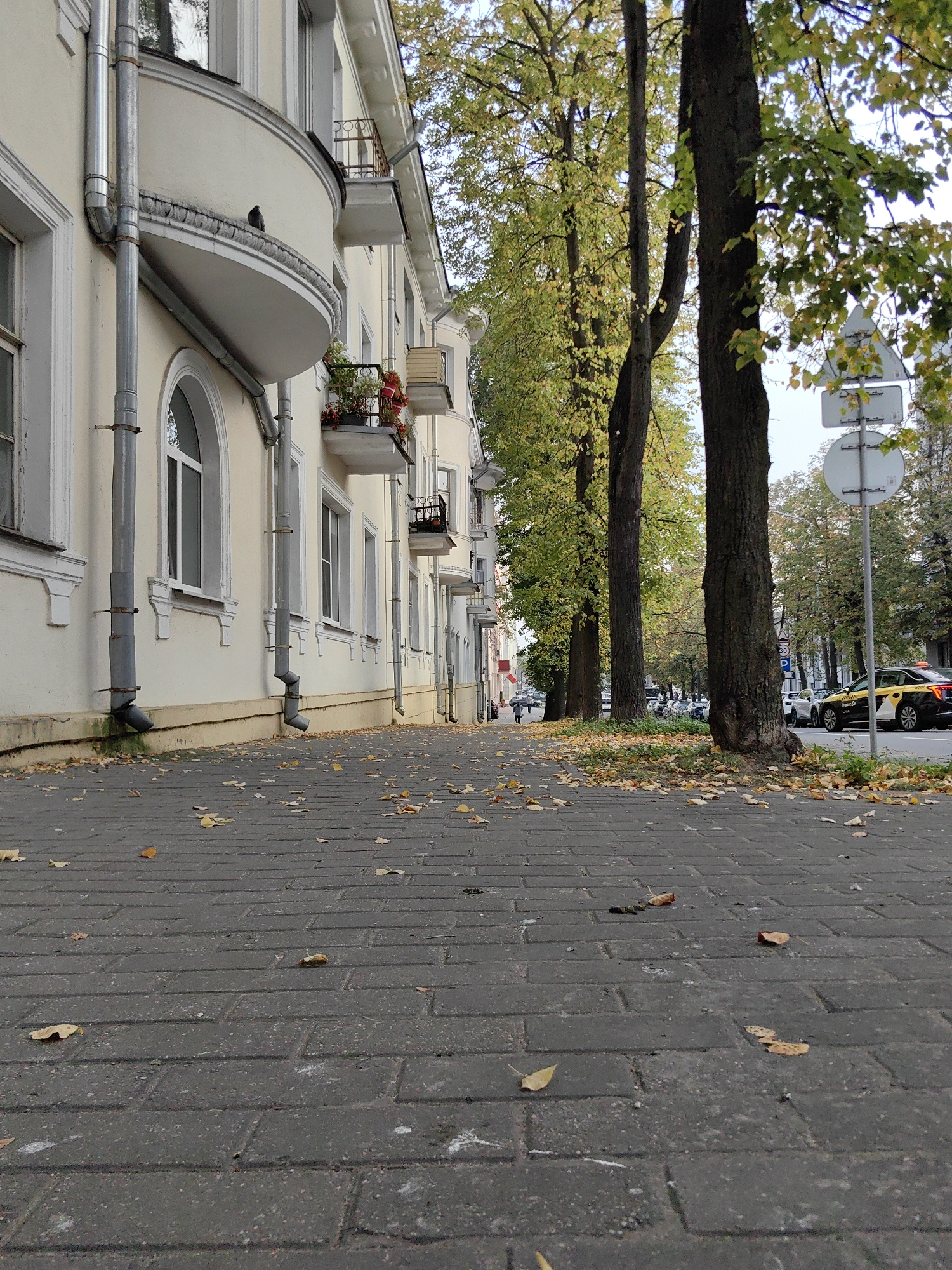 A low-angle perspective shot captures a cobblestone sidewalk littered with fallen yellow leaves, leading the eye towards a light-yellow building with ornate white trim and multiple windows. Downspouts are visible along the building's facade. Beyond the sidewalk, a line of mature trees with green and yellow foliage lines the street, separating it from the building. In the distance, traffic, including a yellow and black taxi, moves along the road. This scene is consistent with the architecture and streetscape found in Minsk, Belarus, specifically along Independence Avenue, a major thoroughfare known for its Stalinist Empire style buildings and tree-lined boulevards.