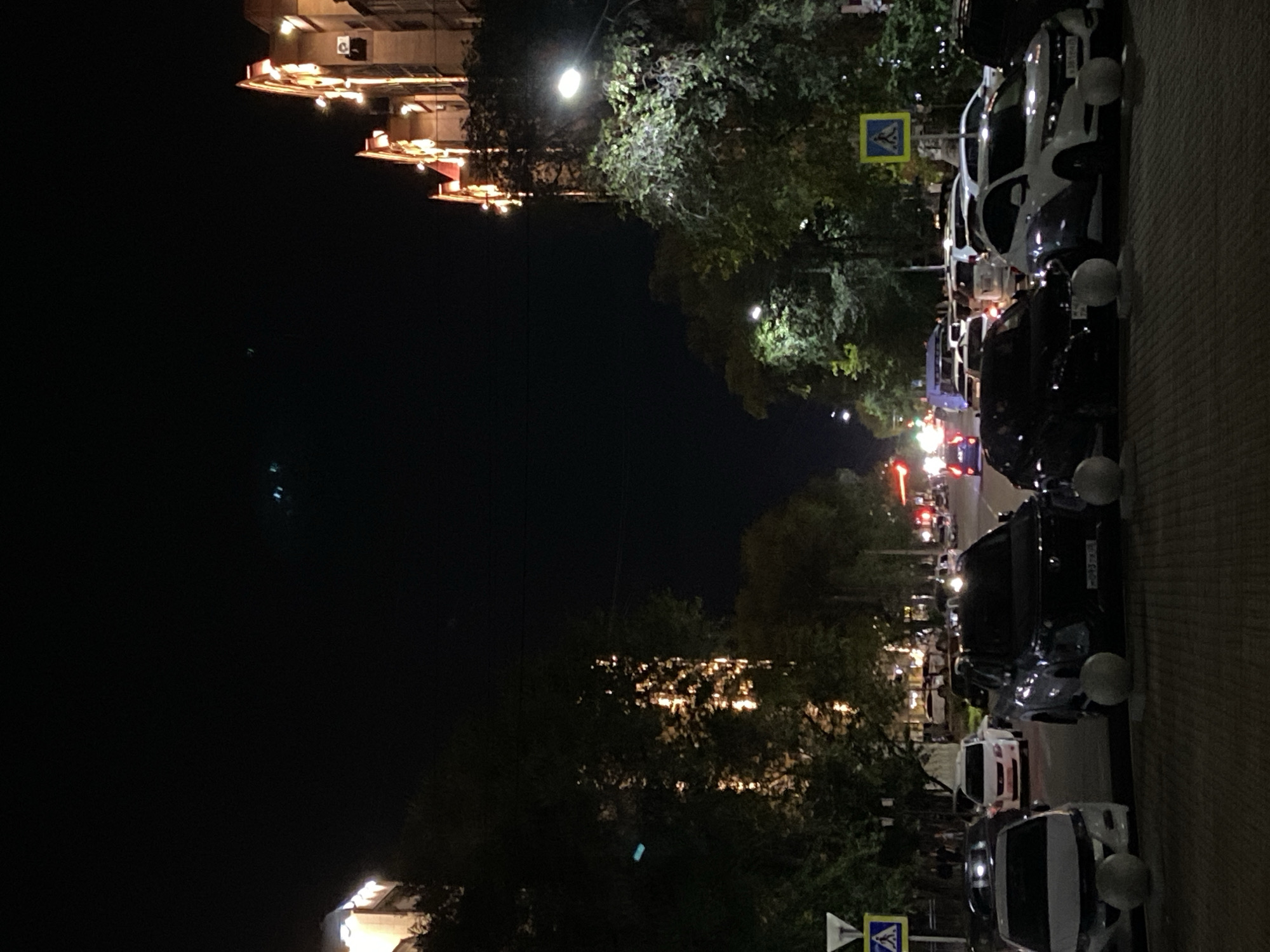 This is a night-time, eye-level, outdoor photograph taken on a street in Blagoveshchensk, Russia. The scene depicts a wide street lined with trees on both sides, with cars parked along the curb in the foreground and driving on the street. Buildings with illuminated facades and decorative lighting are visible on the right side of the street. Several streetlights illuminate the scene. A pedestrian crossing sign is visible on the left side of the image. The sky is dark, indicating nighttime.